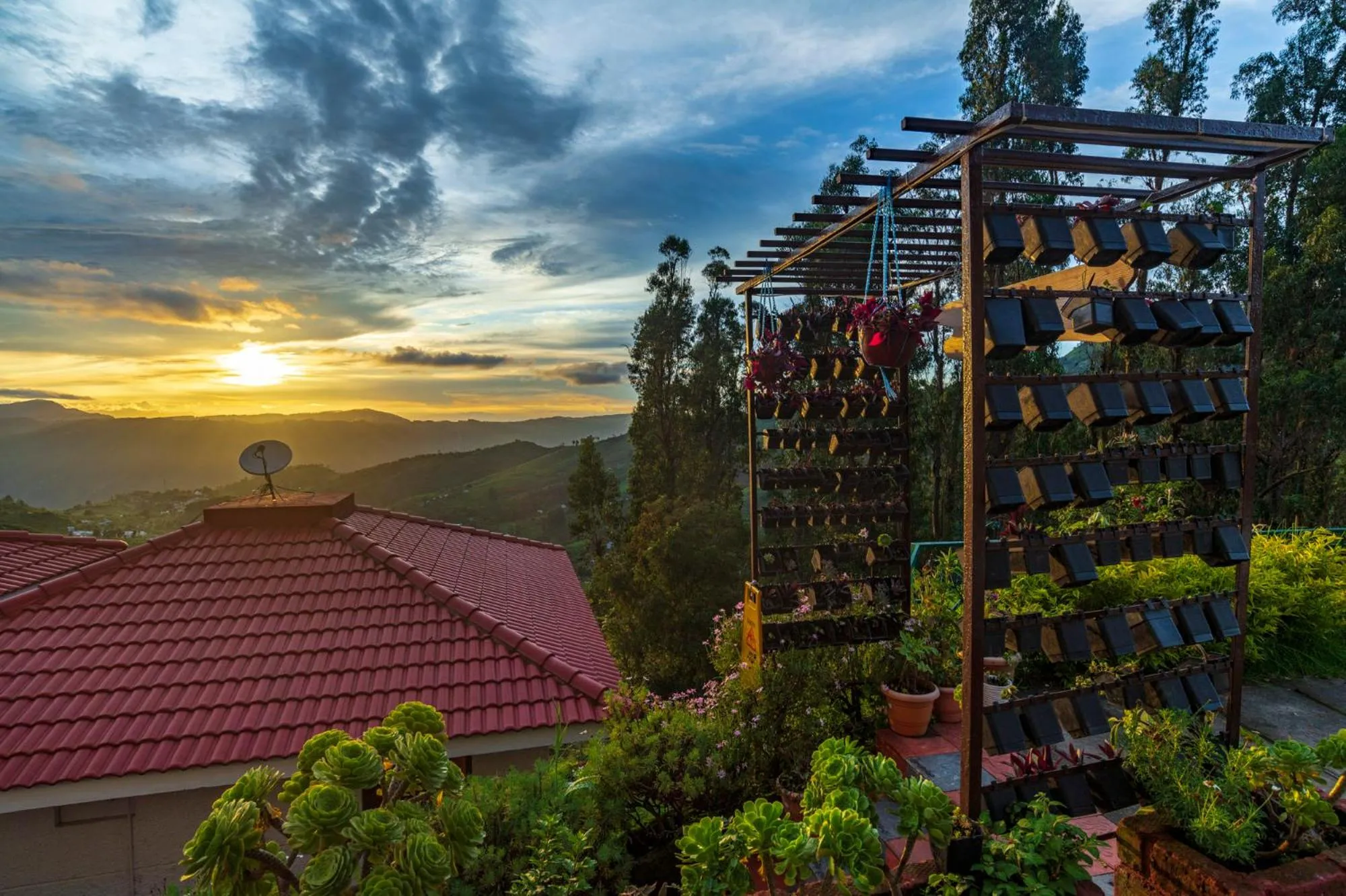 Garden in Warmth Hill Crest