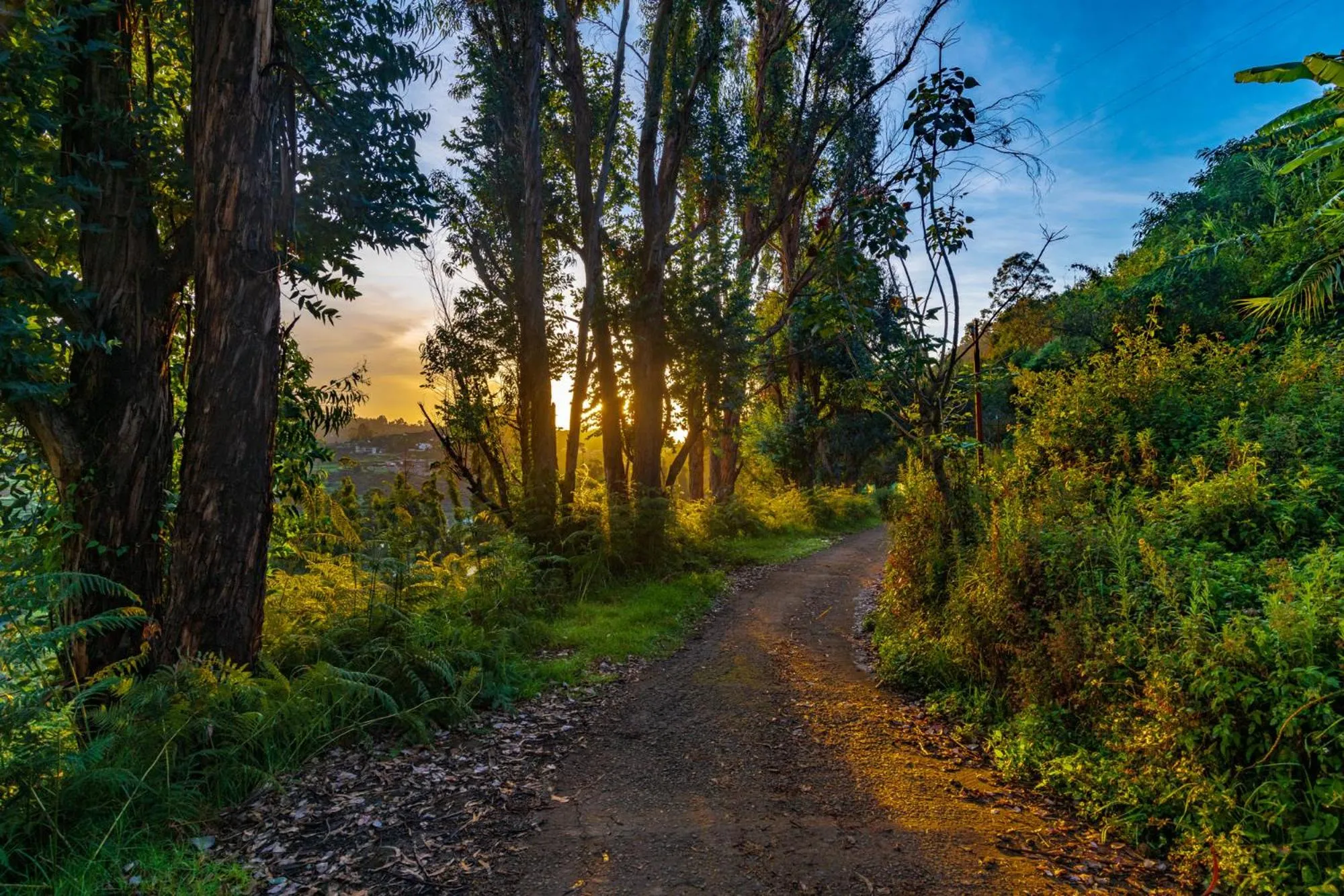 Natural landscape in Warmth Hill Crest