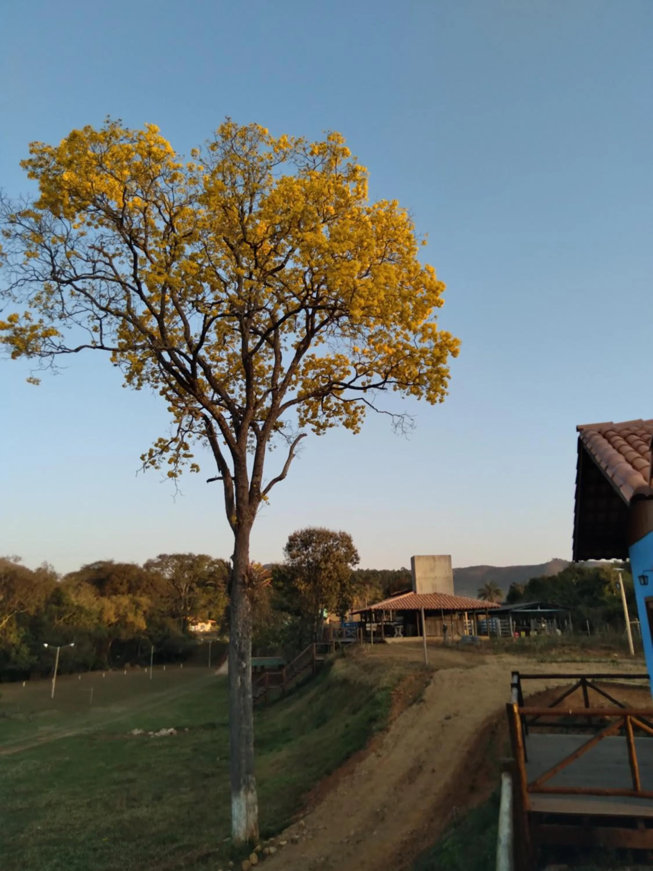 Property building in Chalé Águas Claras