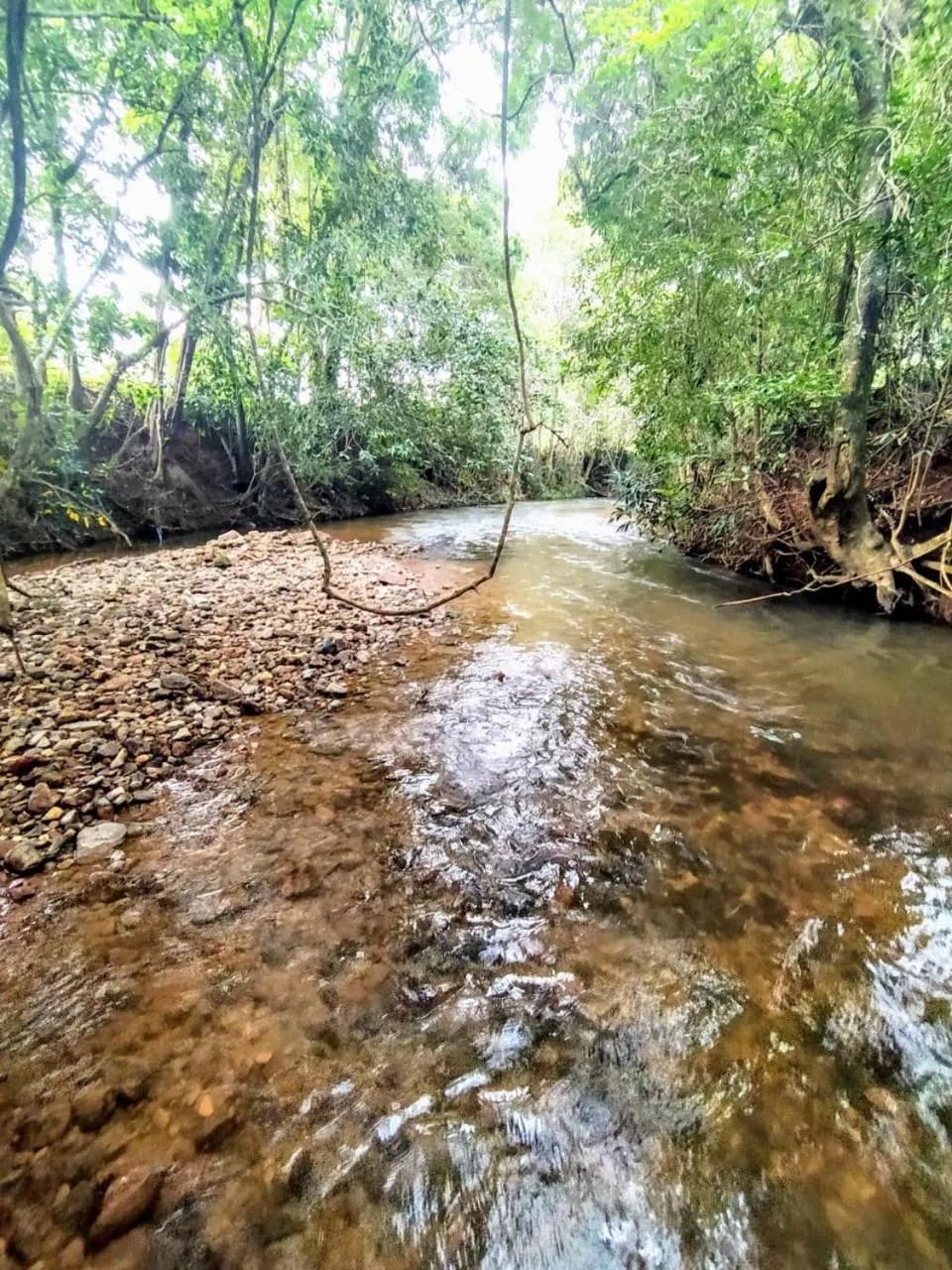 Natural landscape in Chalé Águas Claras