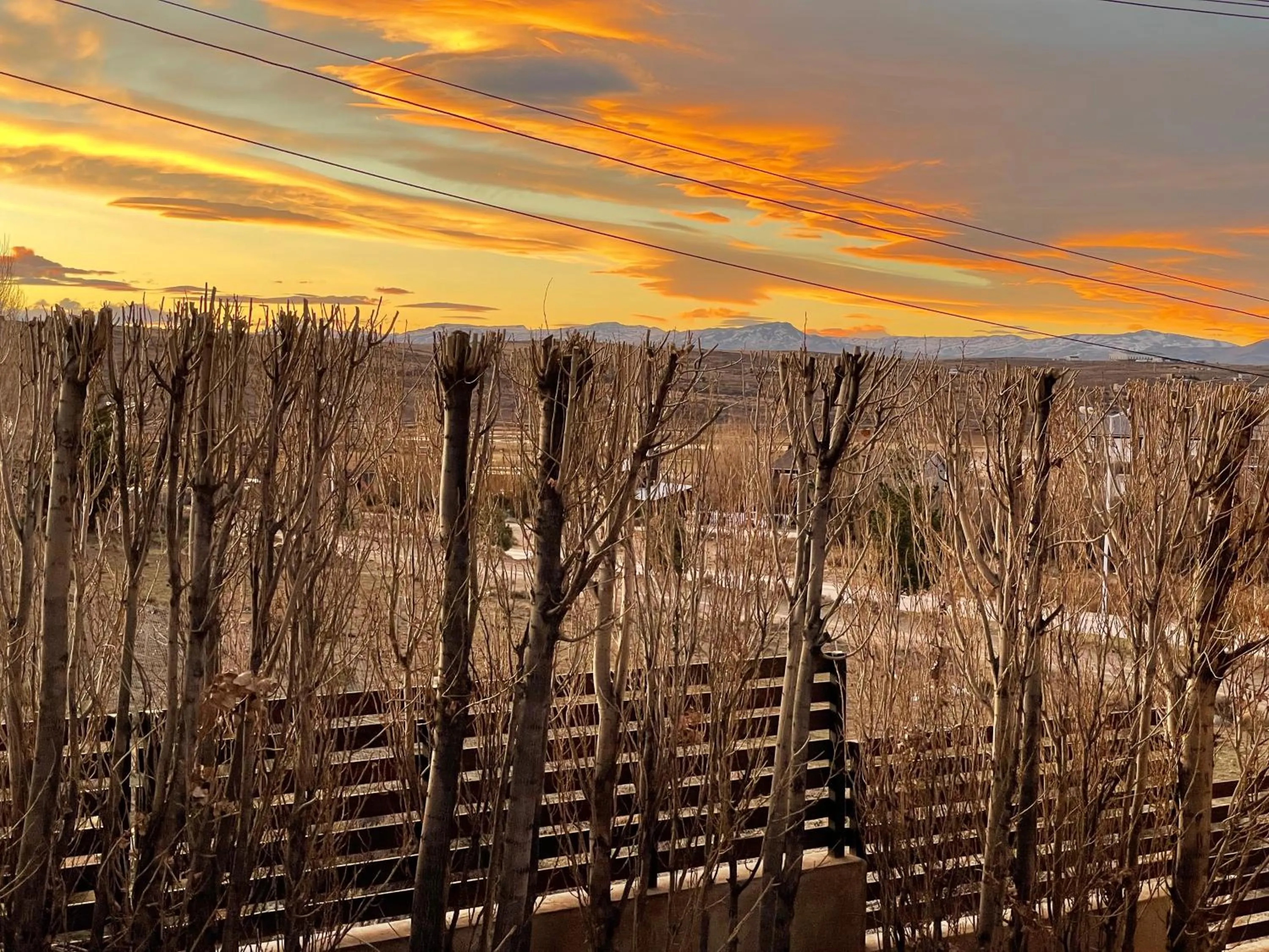 Property building in South Apartments