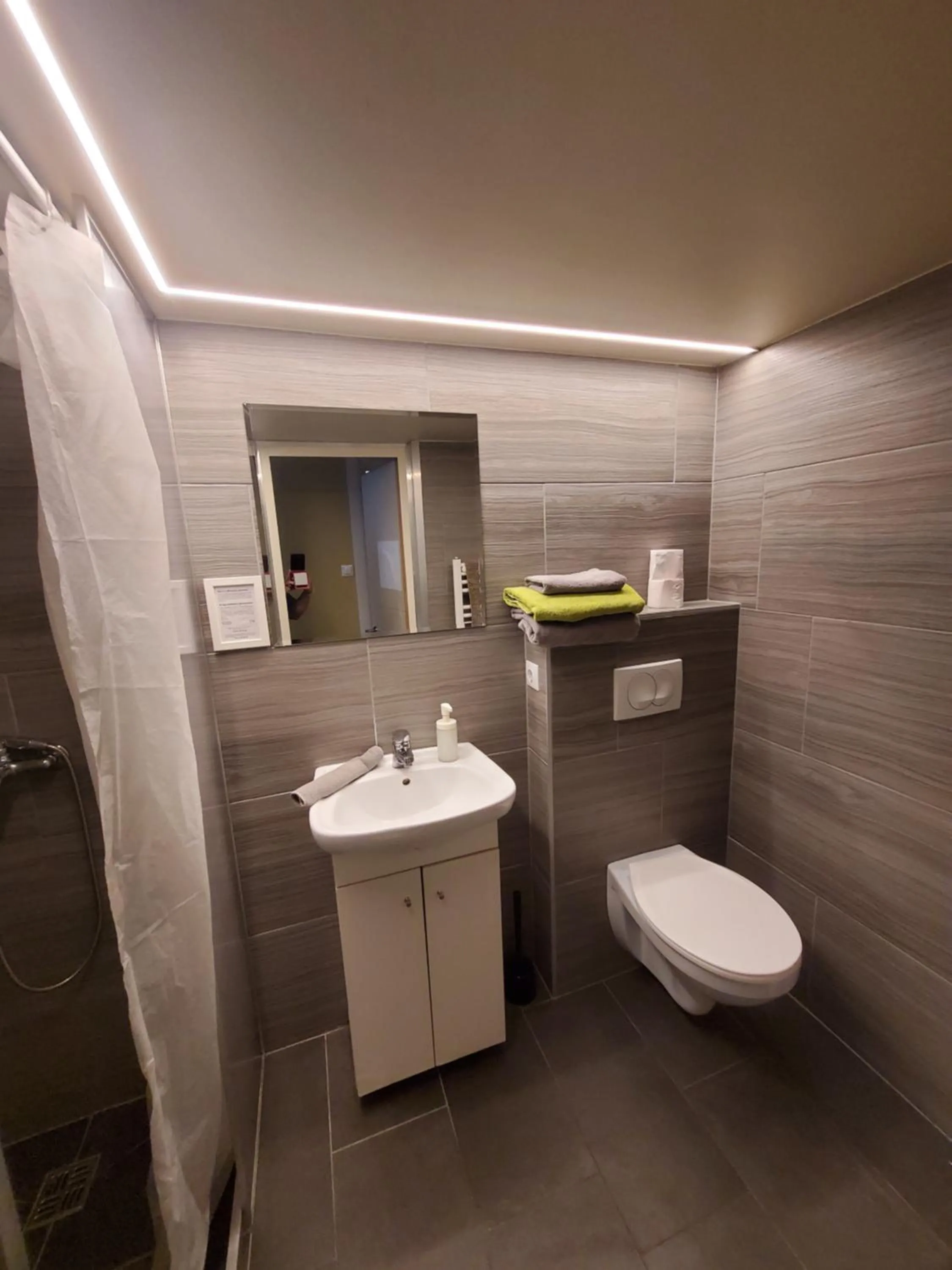 Economy Rooms and Apartments