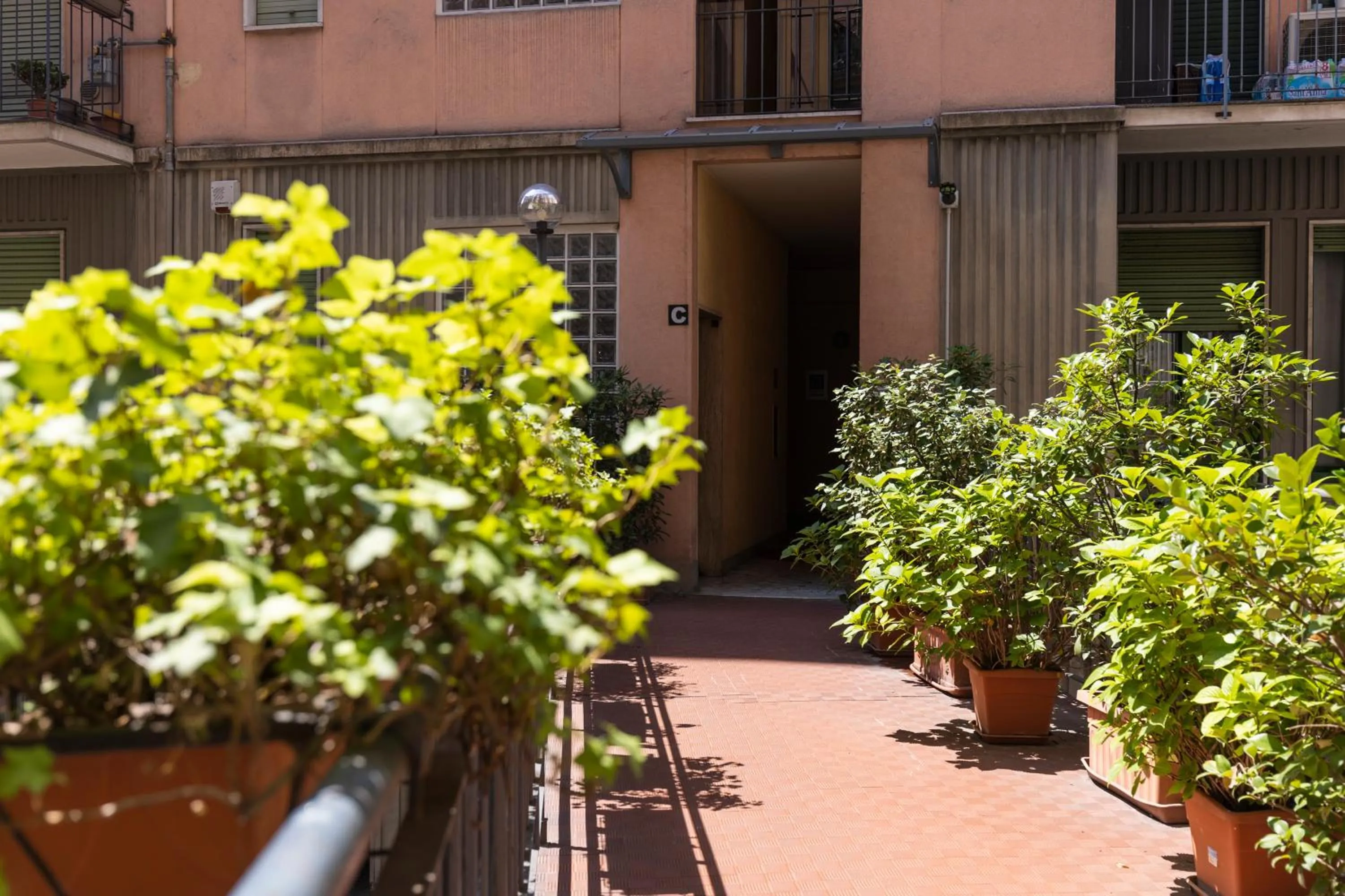 Property building in Dream Experience - Garibaldi