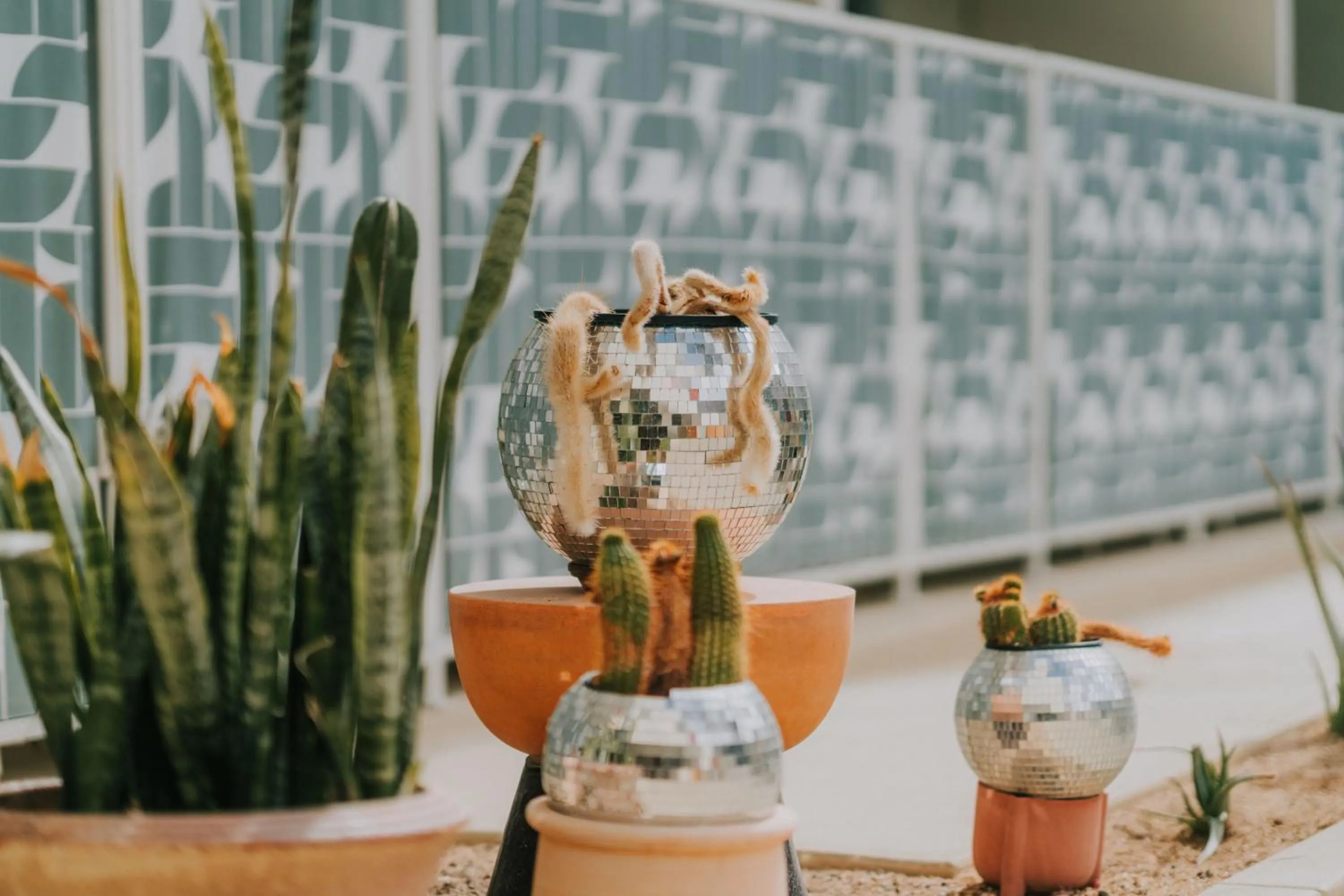 Day in Royal Sun Palm Springs