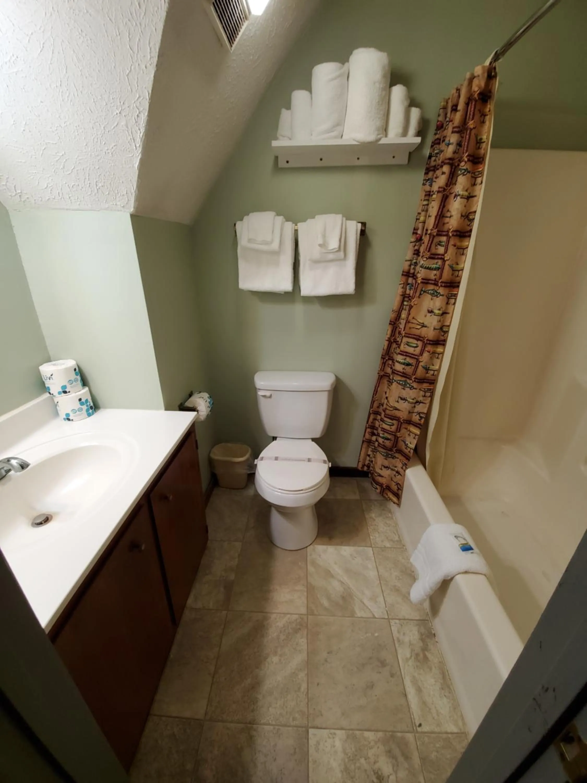 Swiss Mountain Village