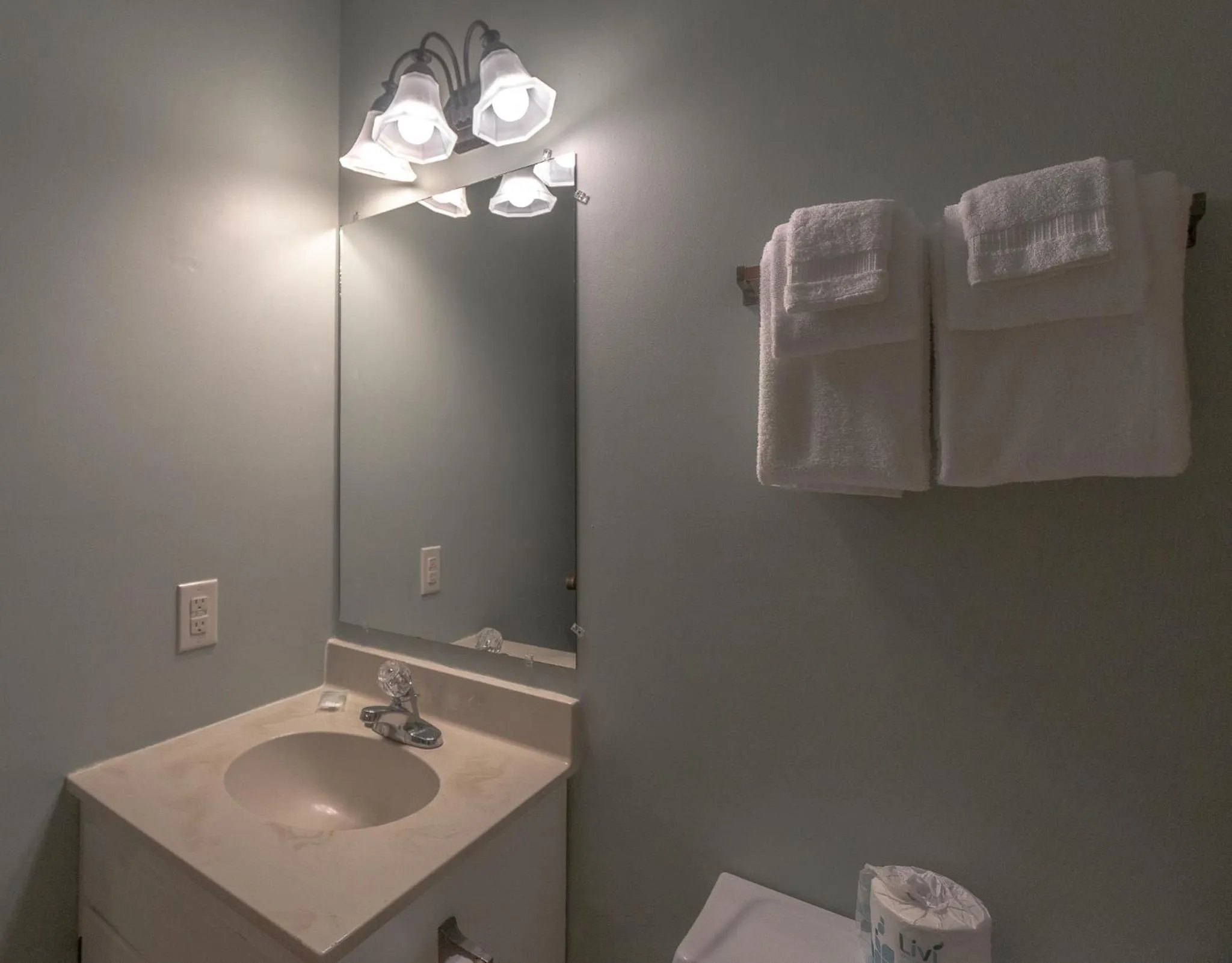 Swiss Mountain Village