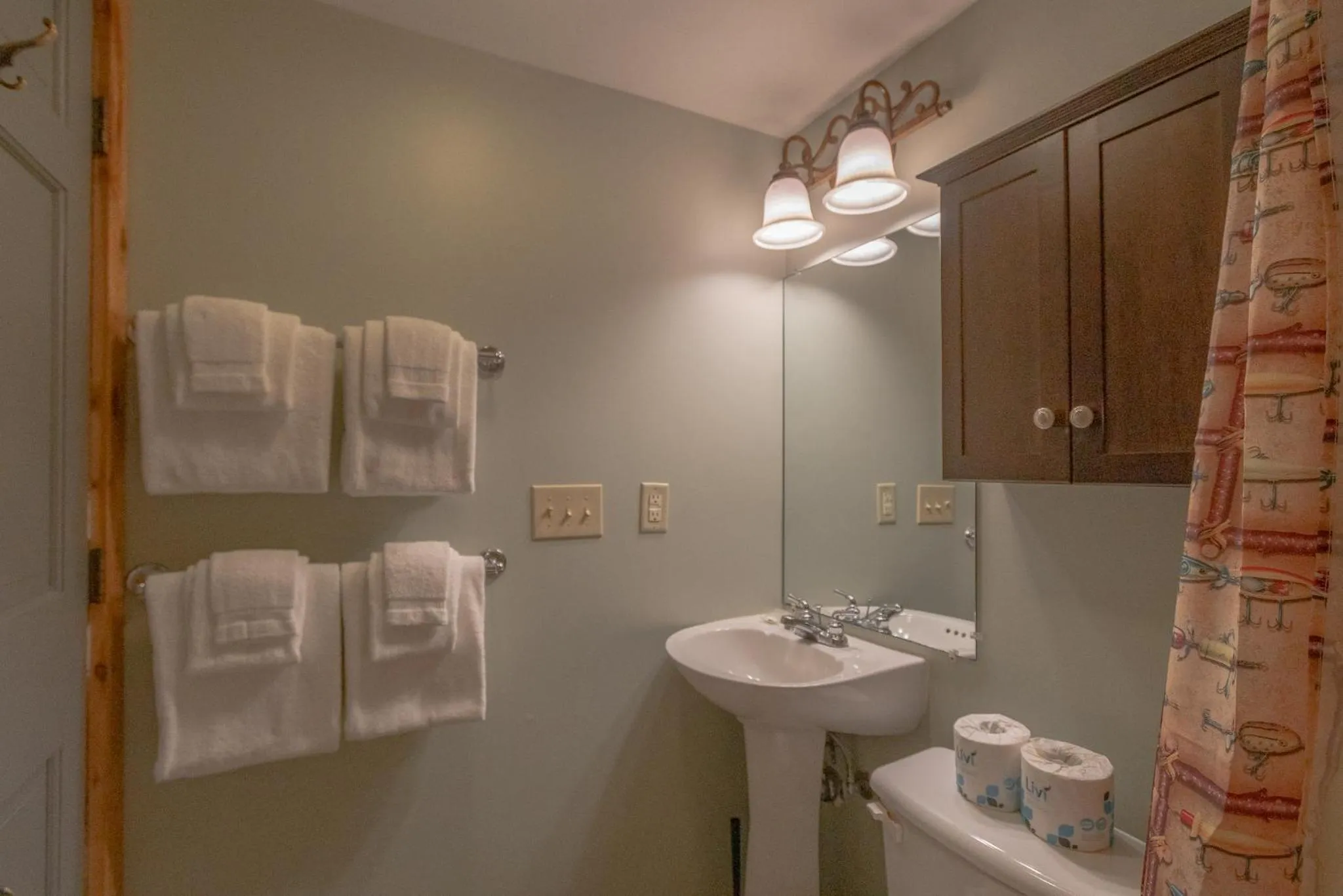 Toilet in Swiss Mountain Village