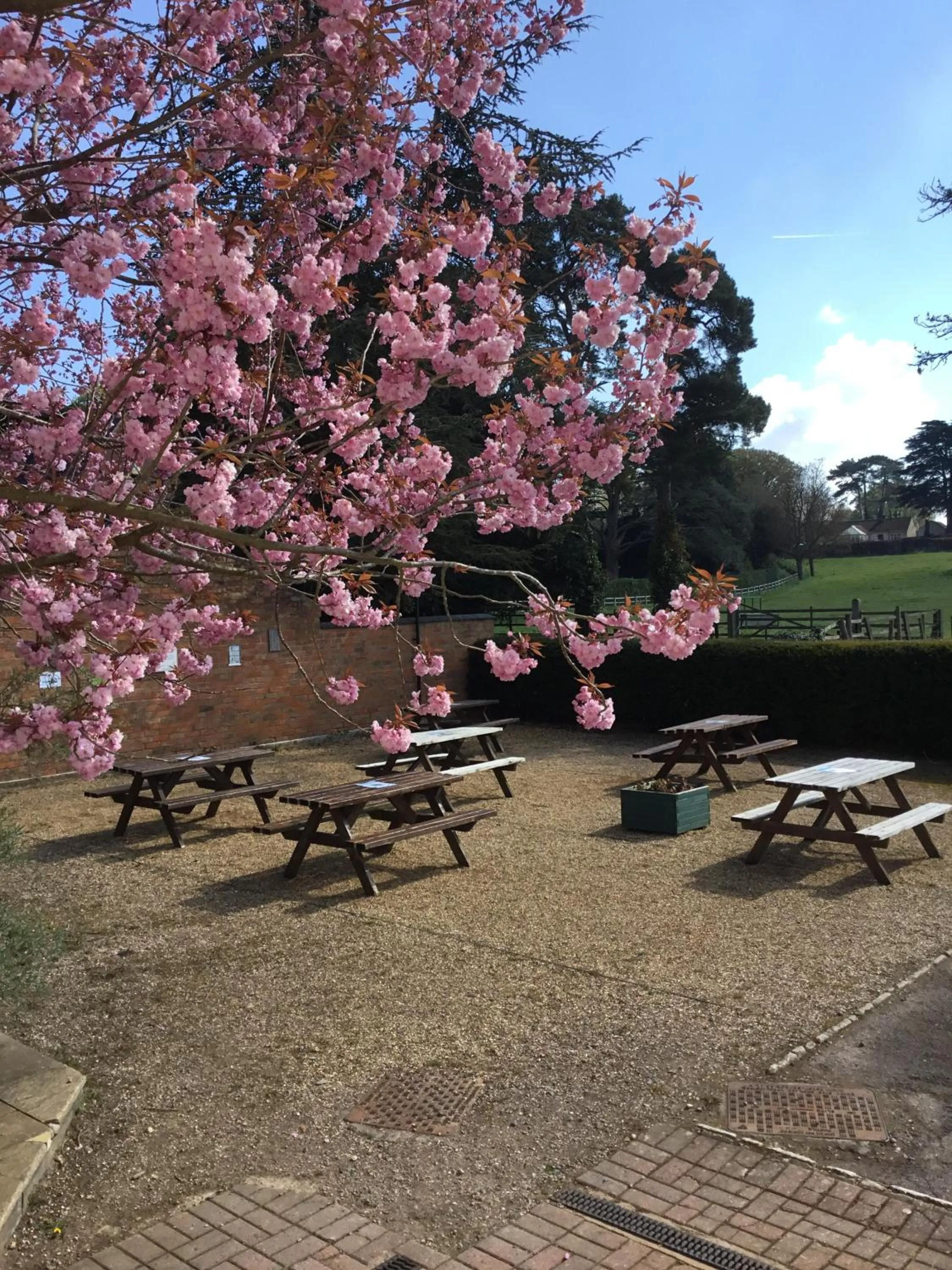 Garden in The Cheney Arms