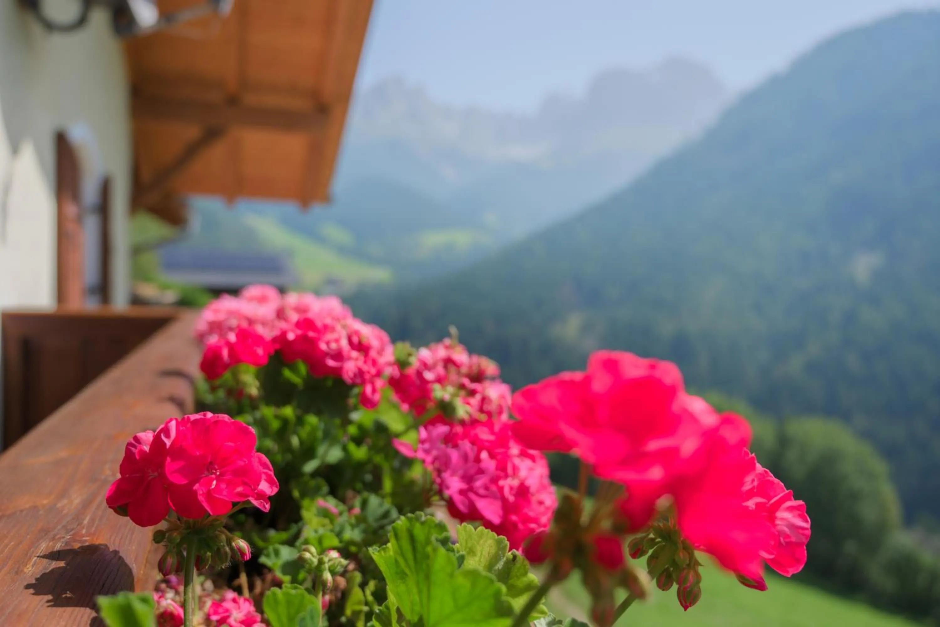 Balcony/Terrace in Veraltenhof Agriturismo B&B