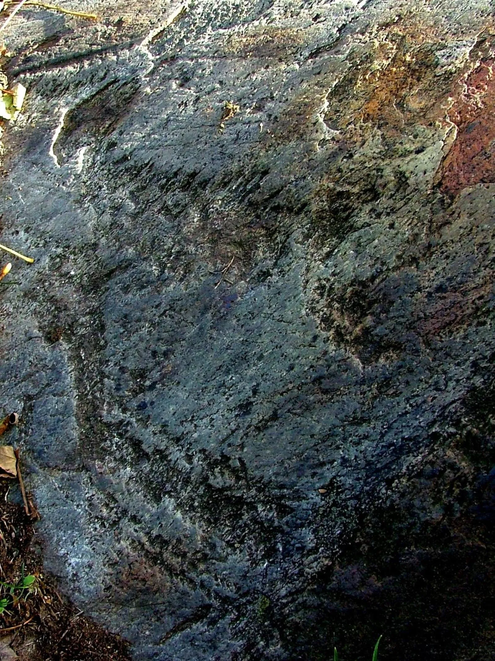 Nearby landmark in B&B Il Pettirosso