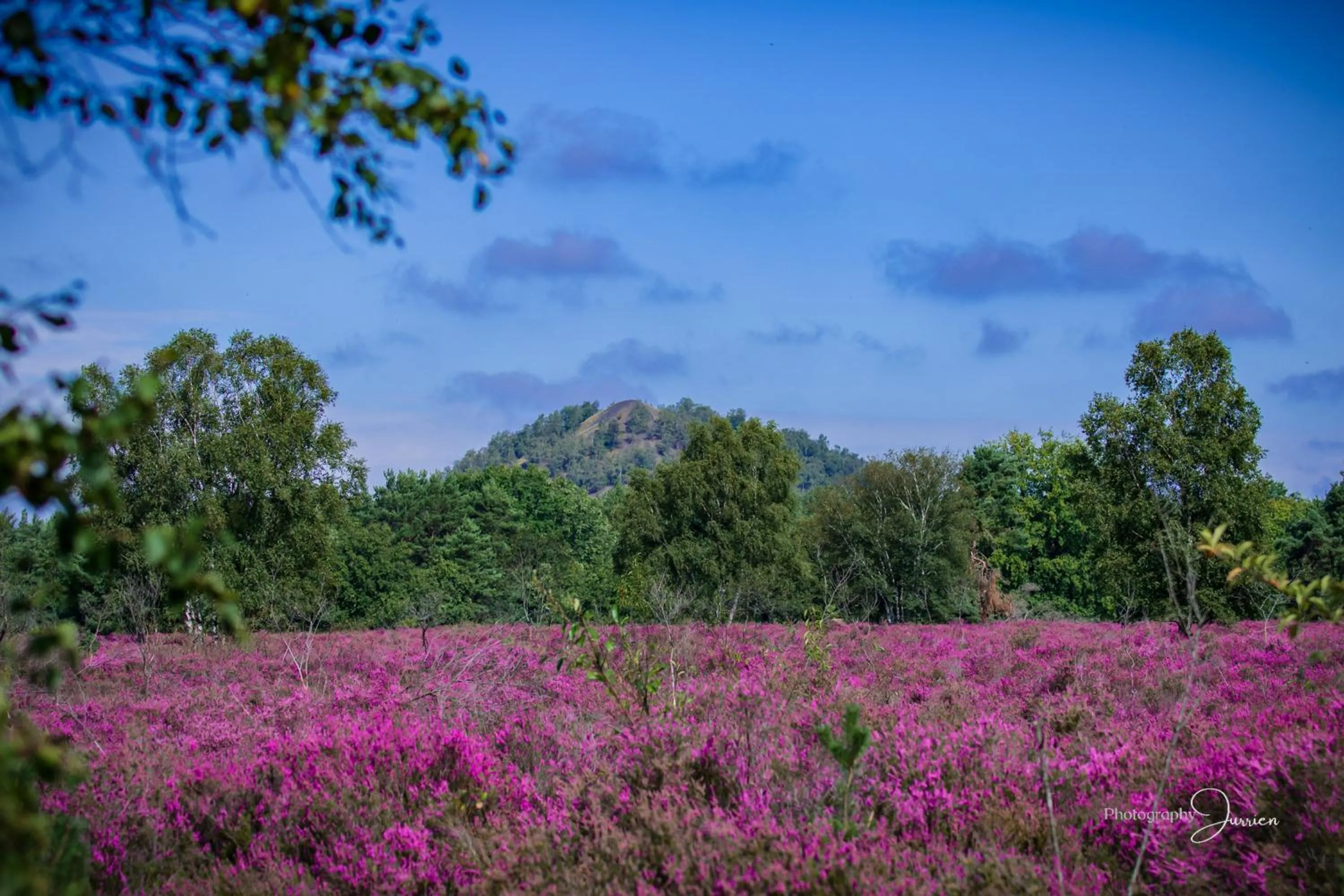 Natural landscape in B&B La Miniera