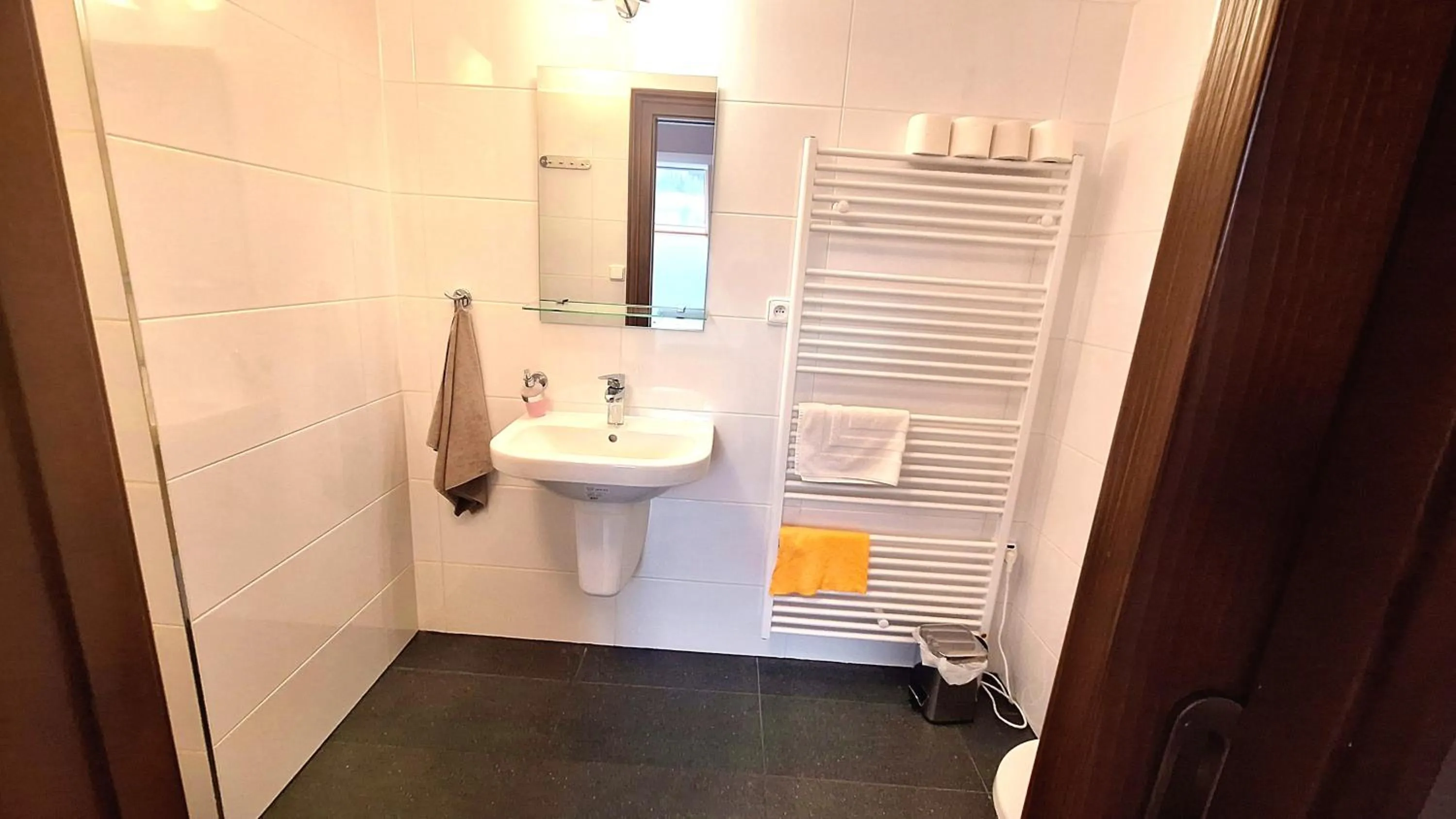 Toilet in Penzion Johannes, Rýmařov - Stará Ves