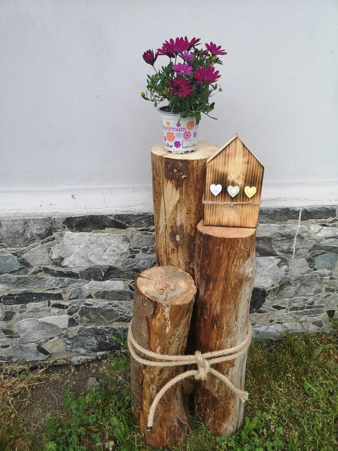 Property building in Penzion Johannes, Rýmařov - Stará Ves