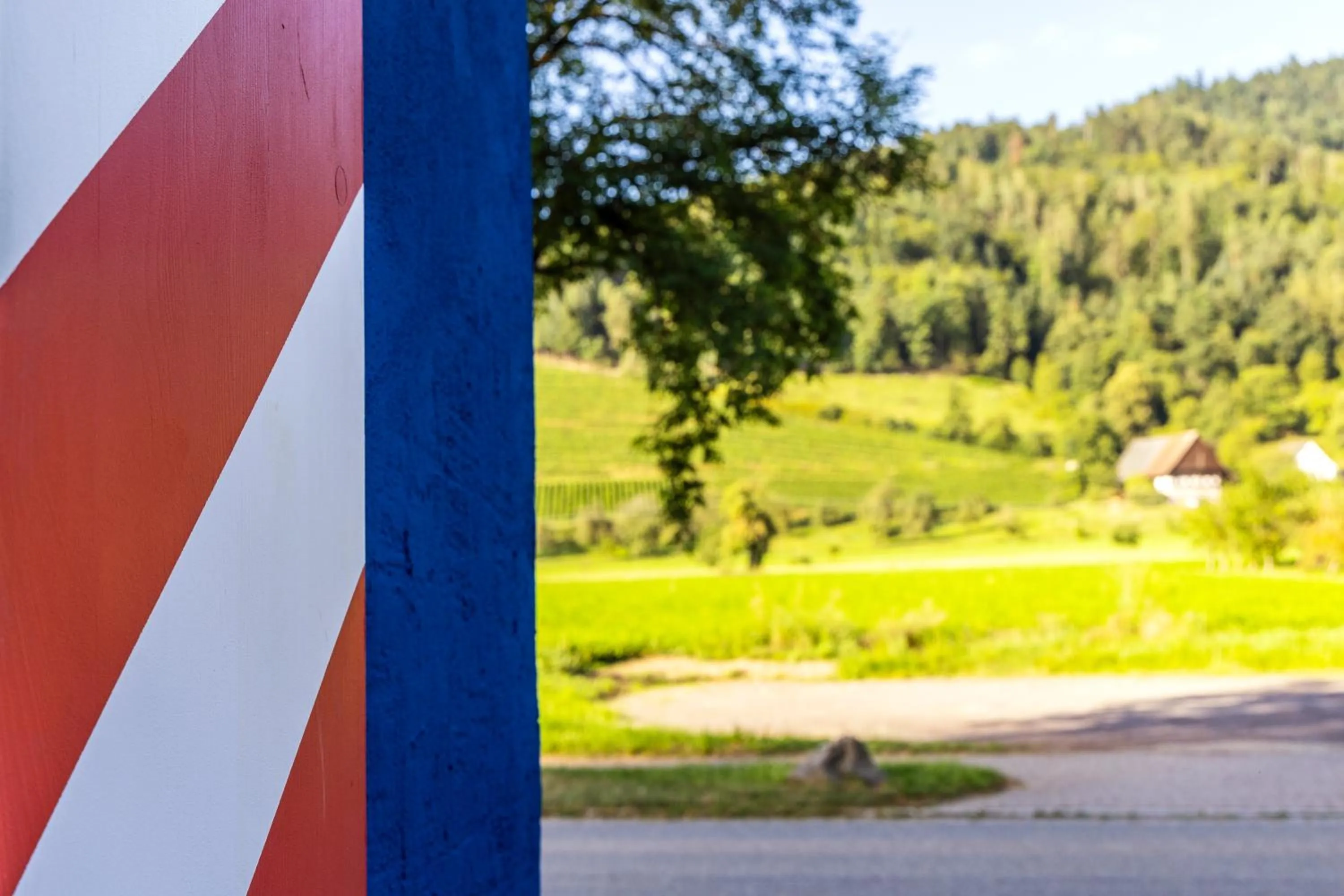 View (from property/room) in schlossmühle - lean luxury boutique hotel