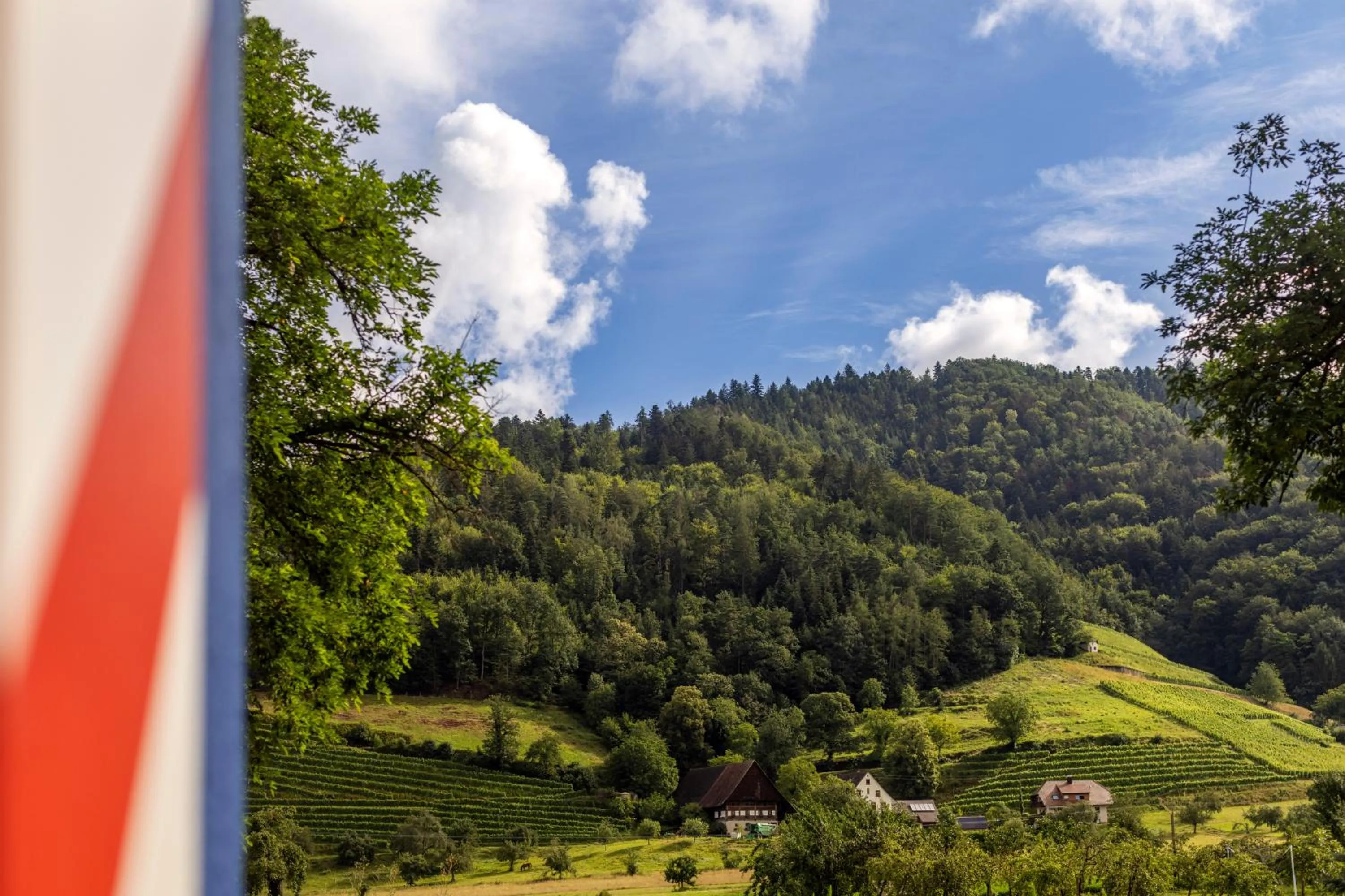 Area and facilities in schlossmühle - lean luxury boutique hotel
