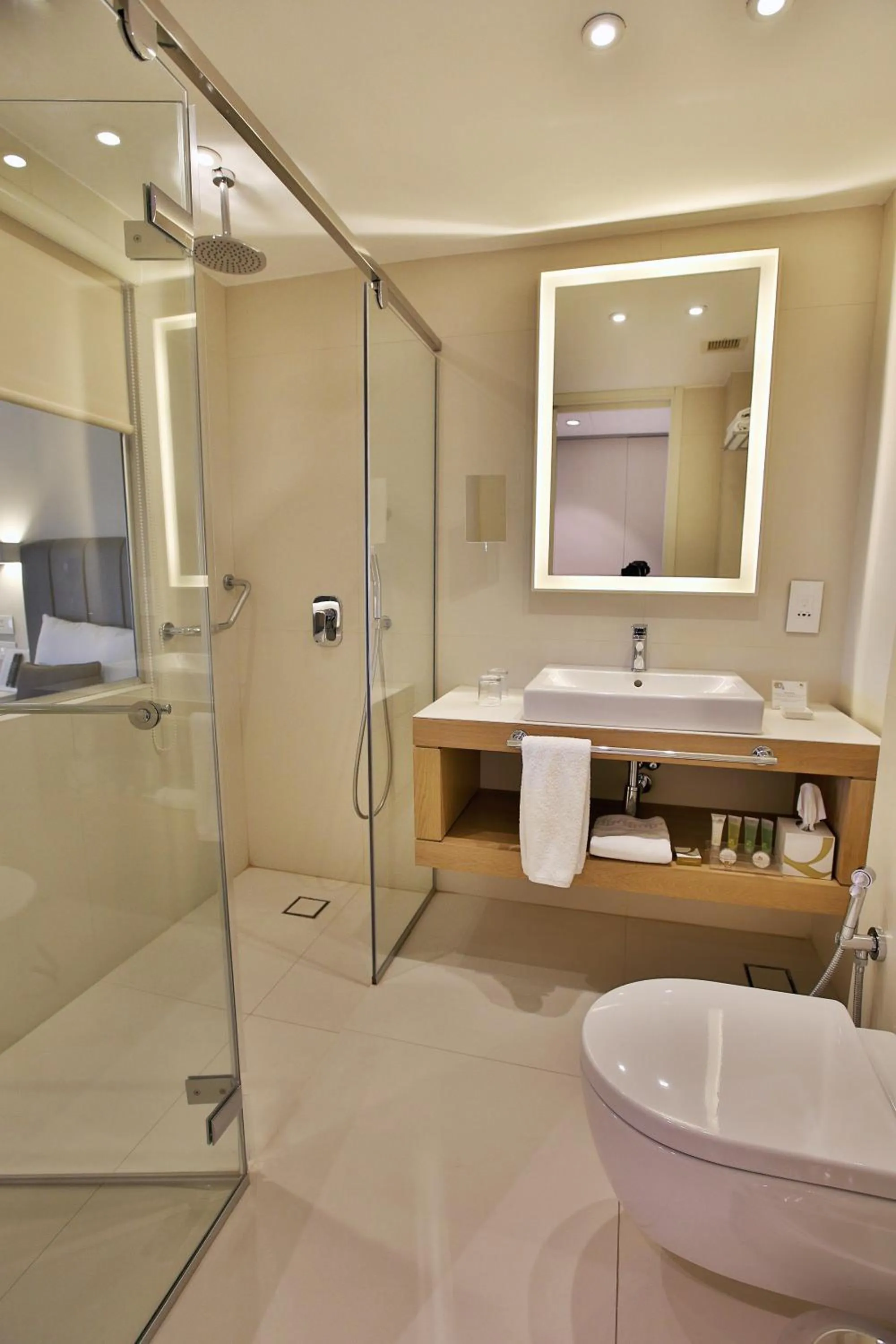 Shower in AlQasr Metropole Hotel