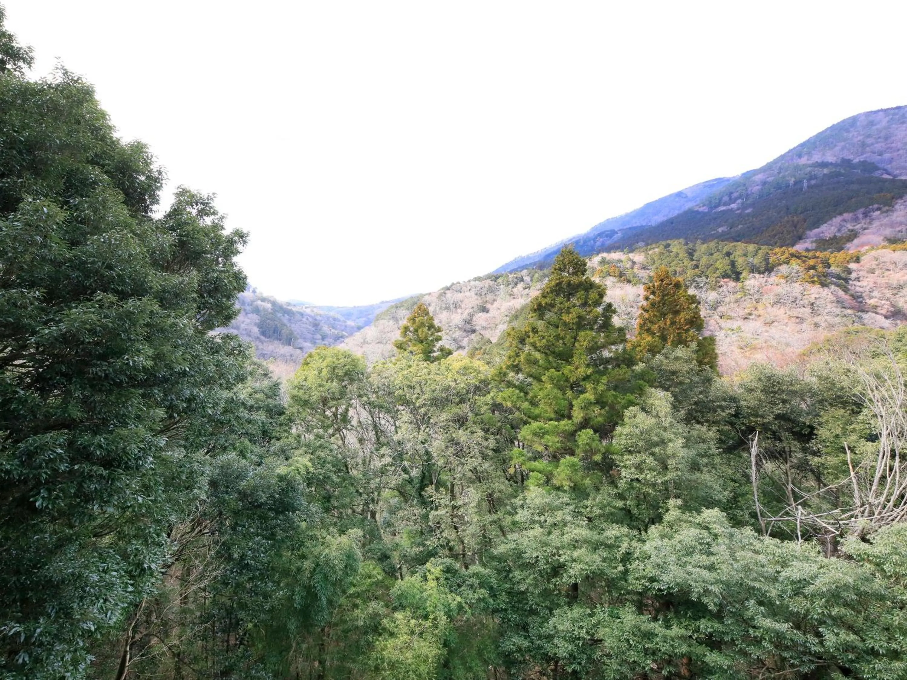 Mountain view in Hot Spring Inn Hakone Suisen
