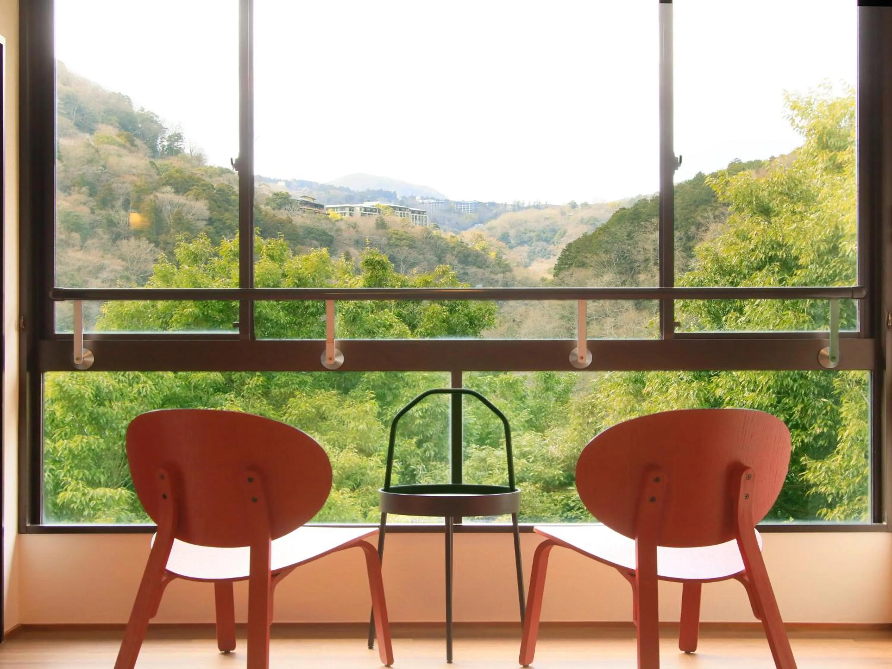 Photo of the whole room in Hot Spring Inn Hakone Suisen