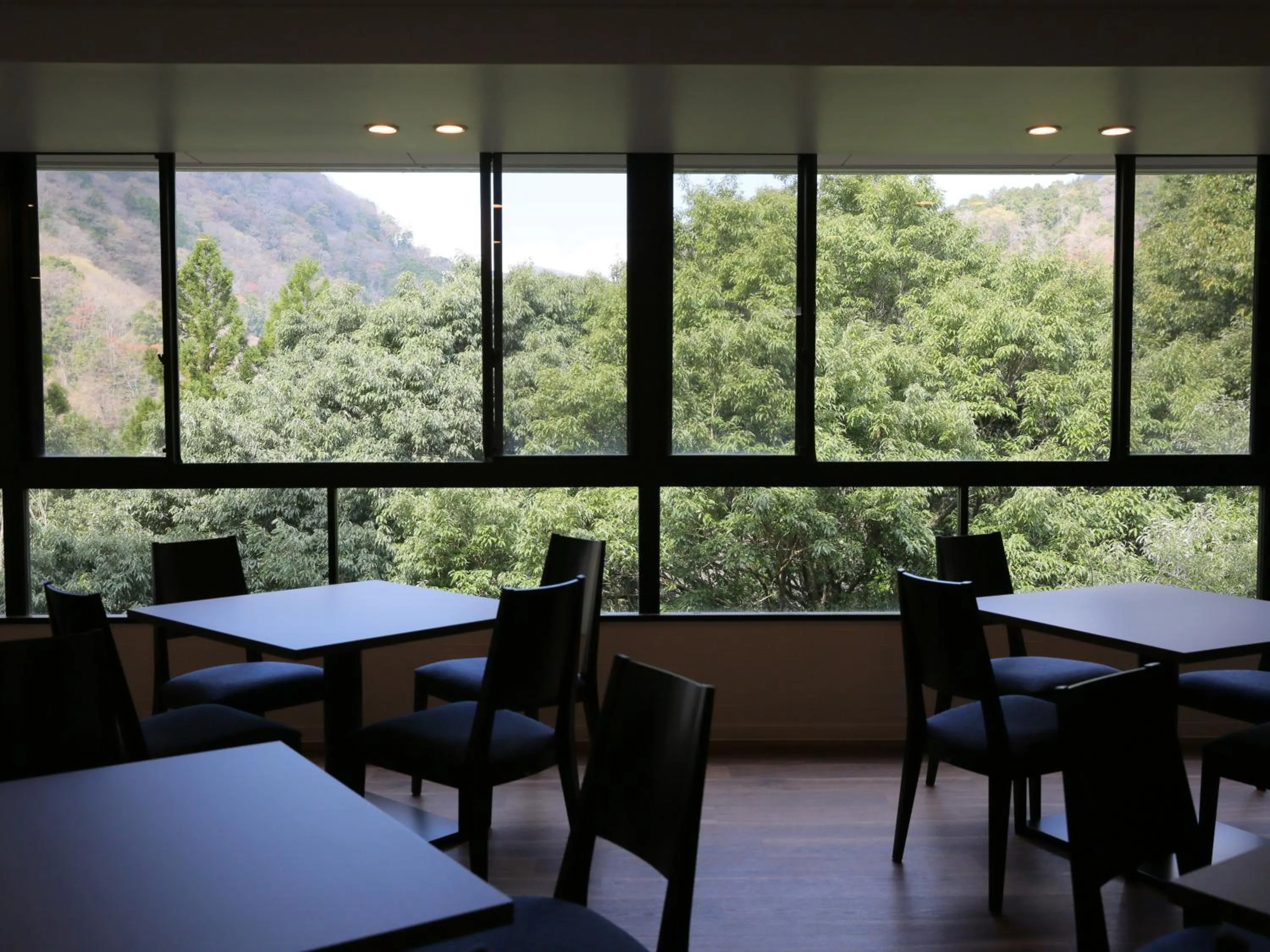 Restaurant/places to eat in Hot Spring Inn Hakone Suisen