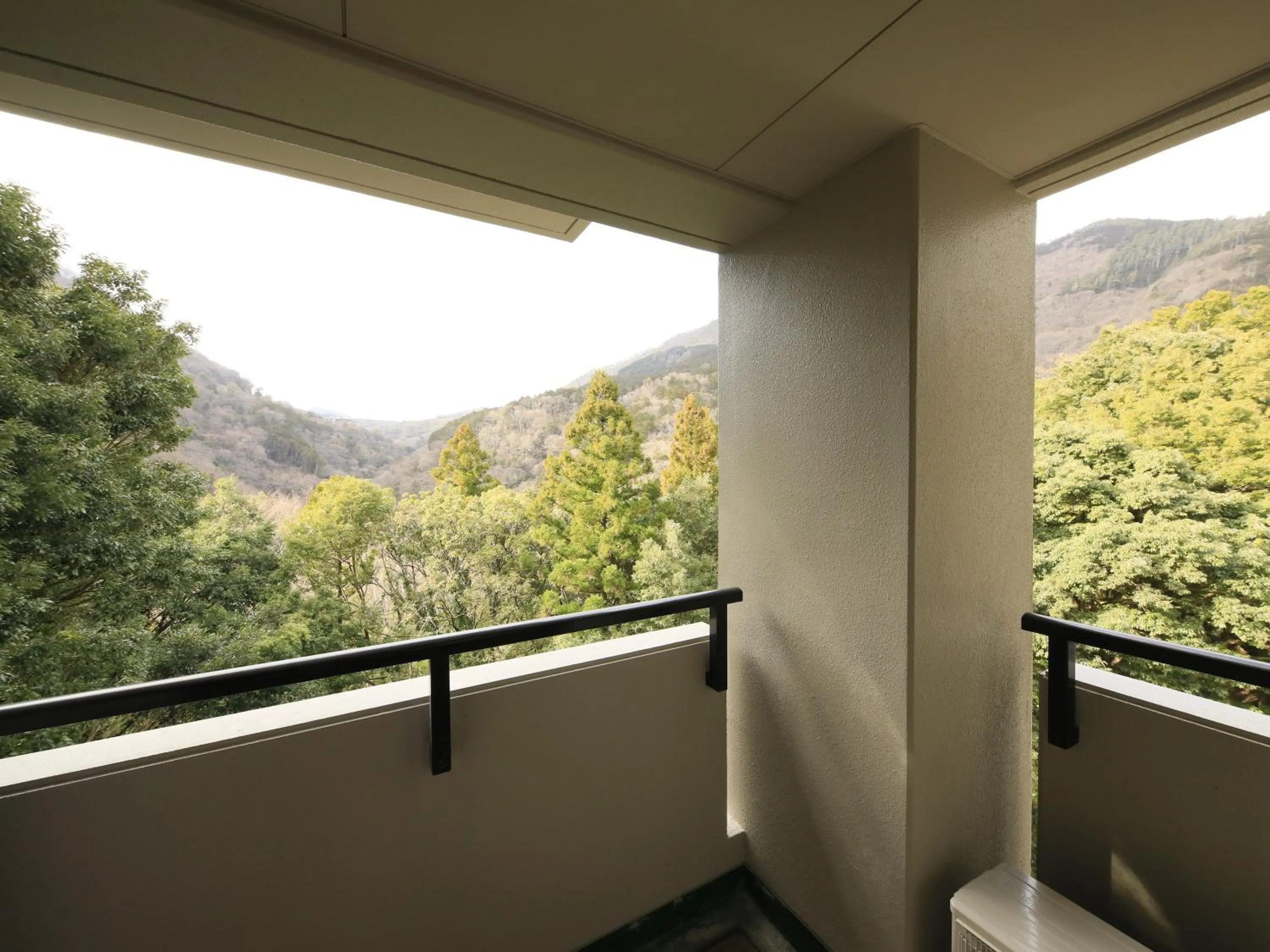 Balcony/Terrace in Hot Spring Inn Hakone Suisen