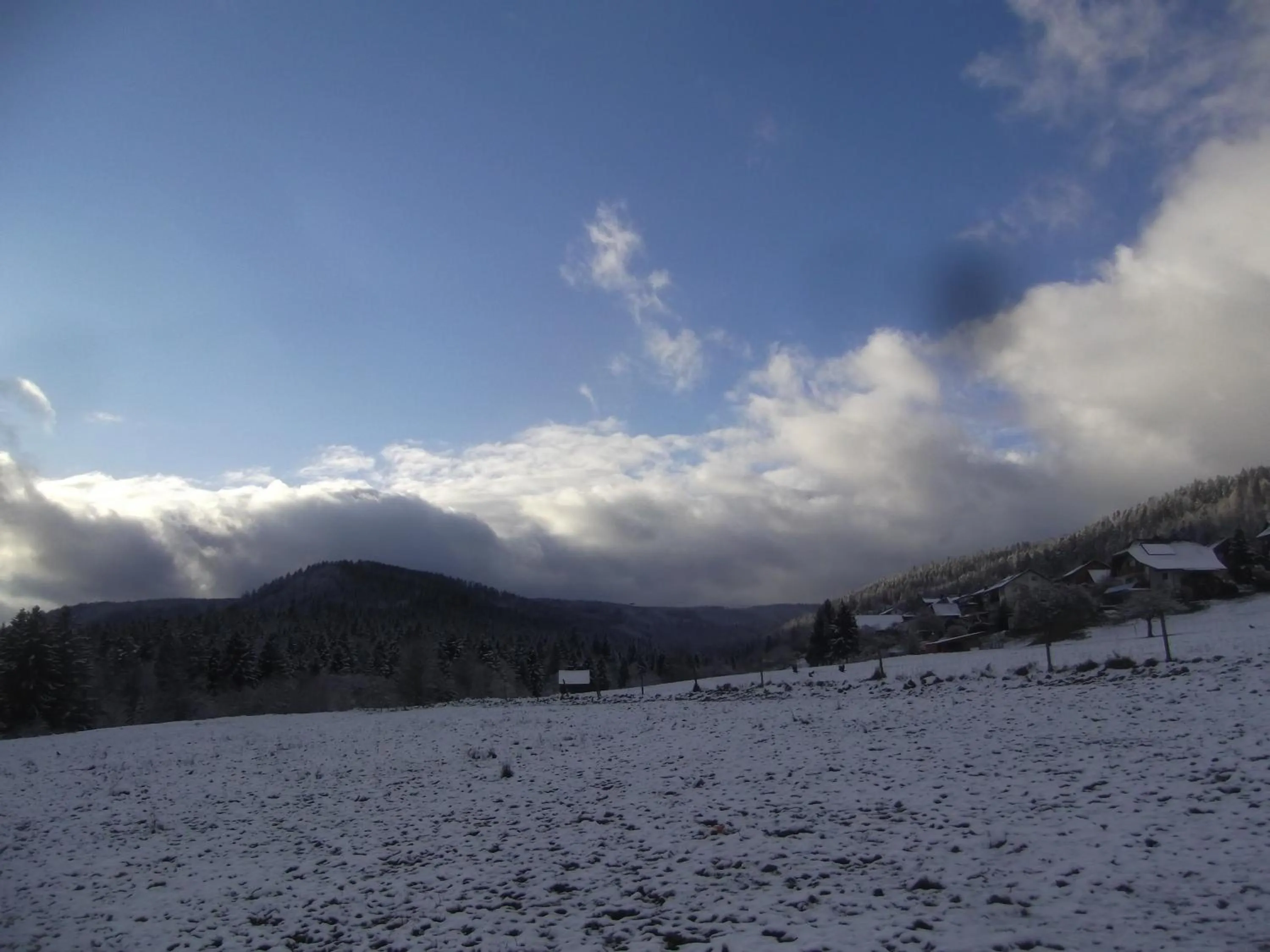 Staff in Schwarzwald-Gasthof Hirsch