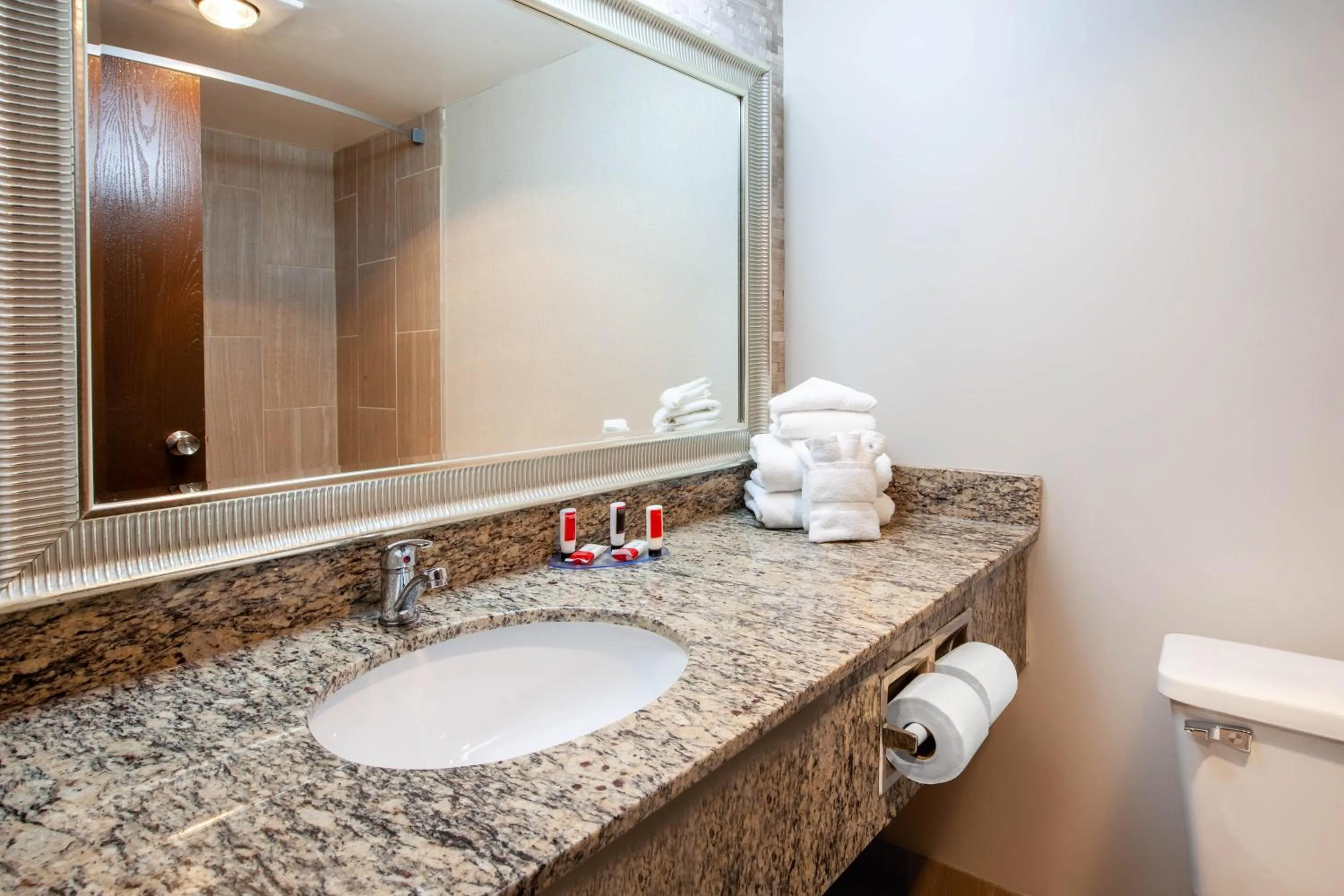 Toilet in Wingate by Wyndham Detroit Metro Airport