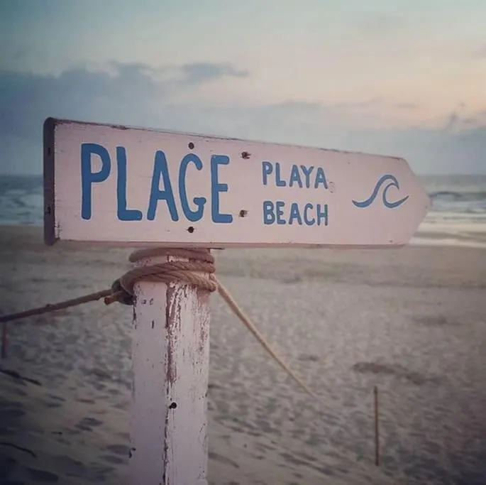 Natural landscape in Les jardins de Mimizan