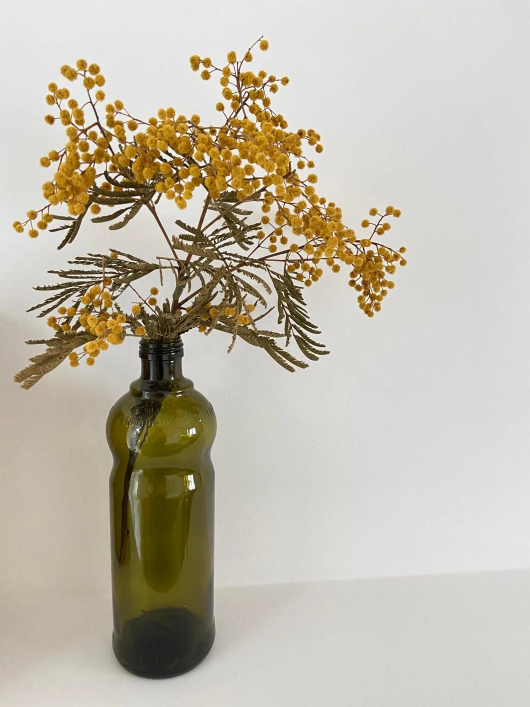 Decorative detail in Les jardins de Mimizan