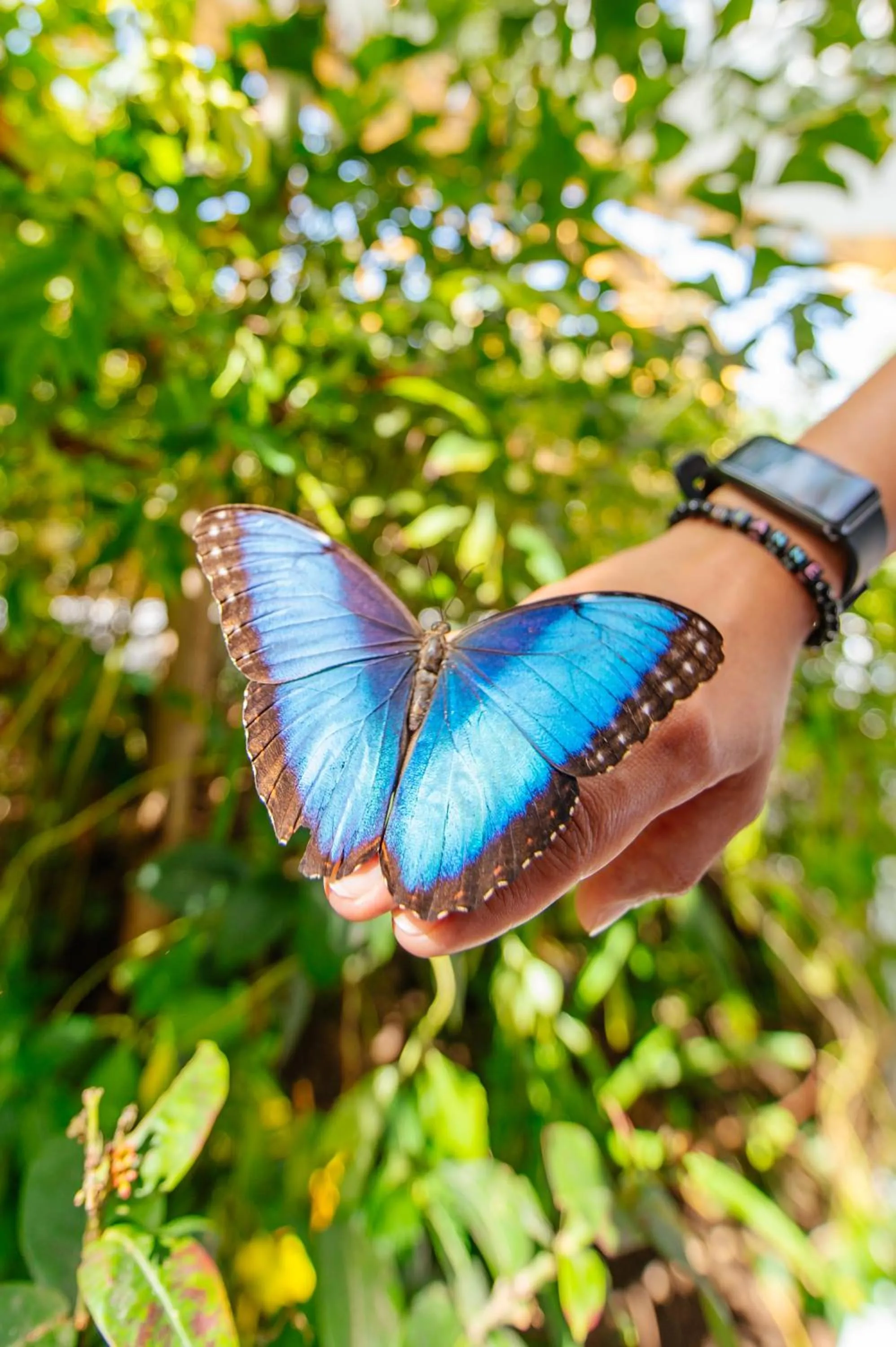 Nearby landmark in DoubleTree by Hilton Sharjah Waterfront Hotel And Residences