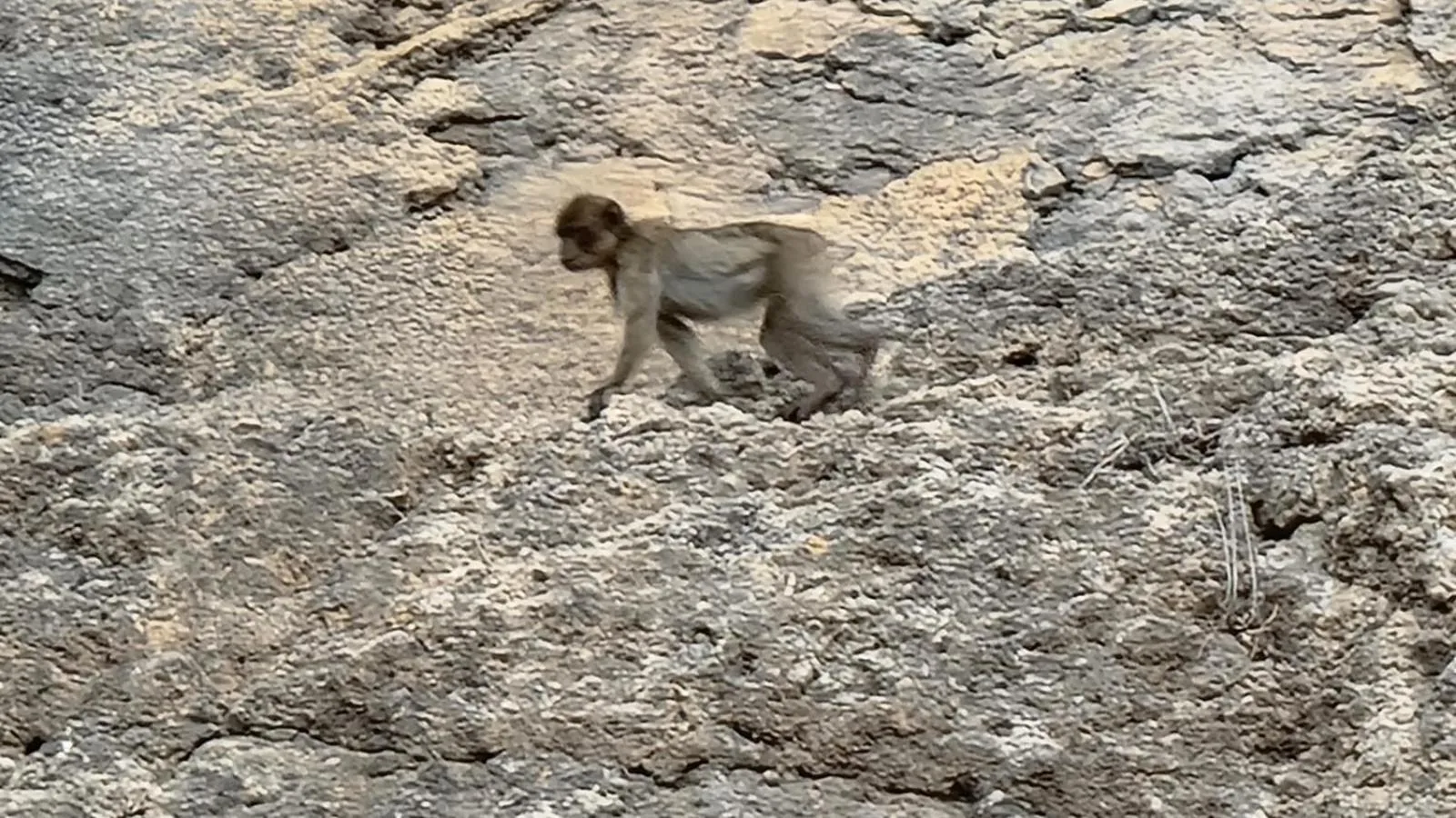 Hiking in RIAD LA SANTA