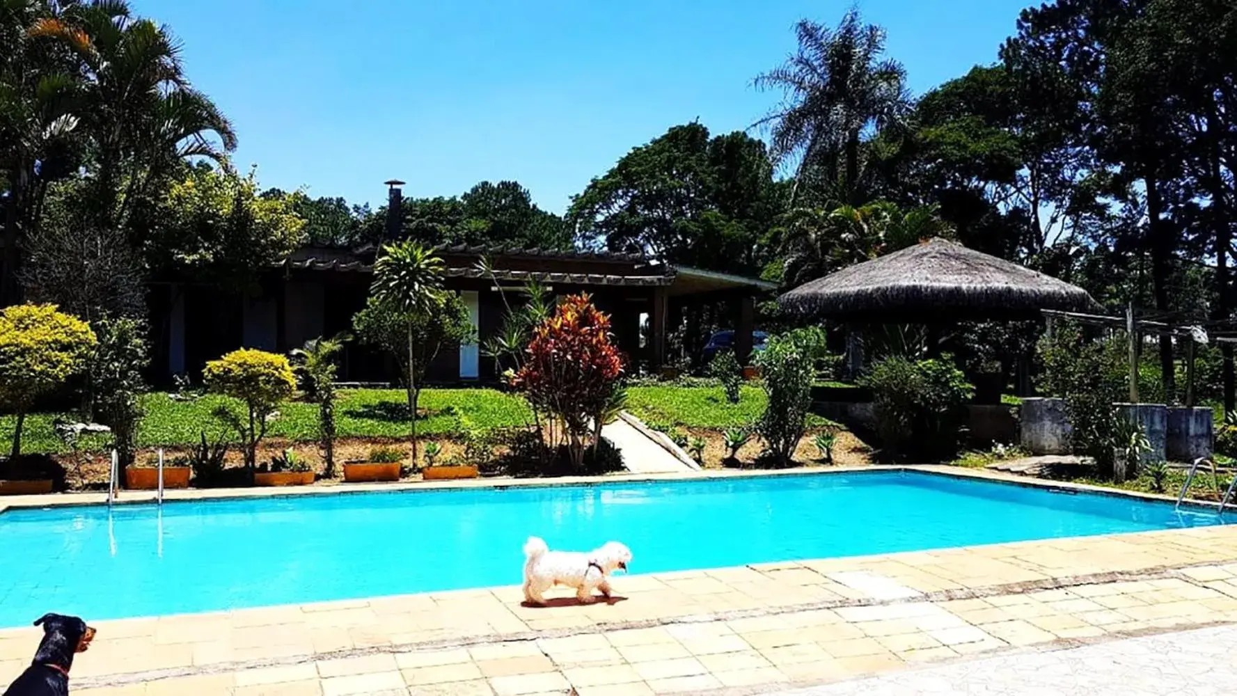 Casa de campo c piscina e churrasq - Mairipora - SP Casa de campo c piscina e churrasq - Mairipora - SP