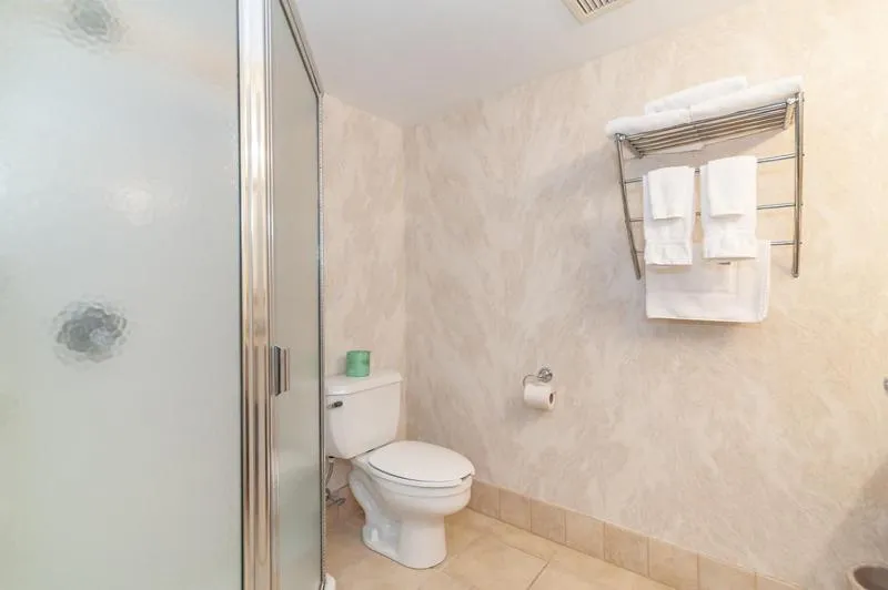 Shower in Bellissimo Hotel, Trademark by Wyndham Near Foxwoods Casino