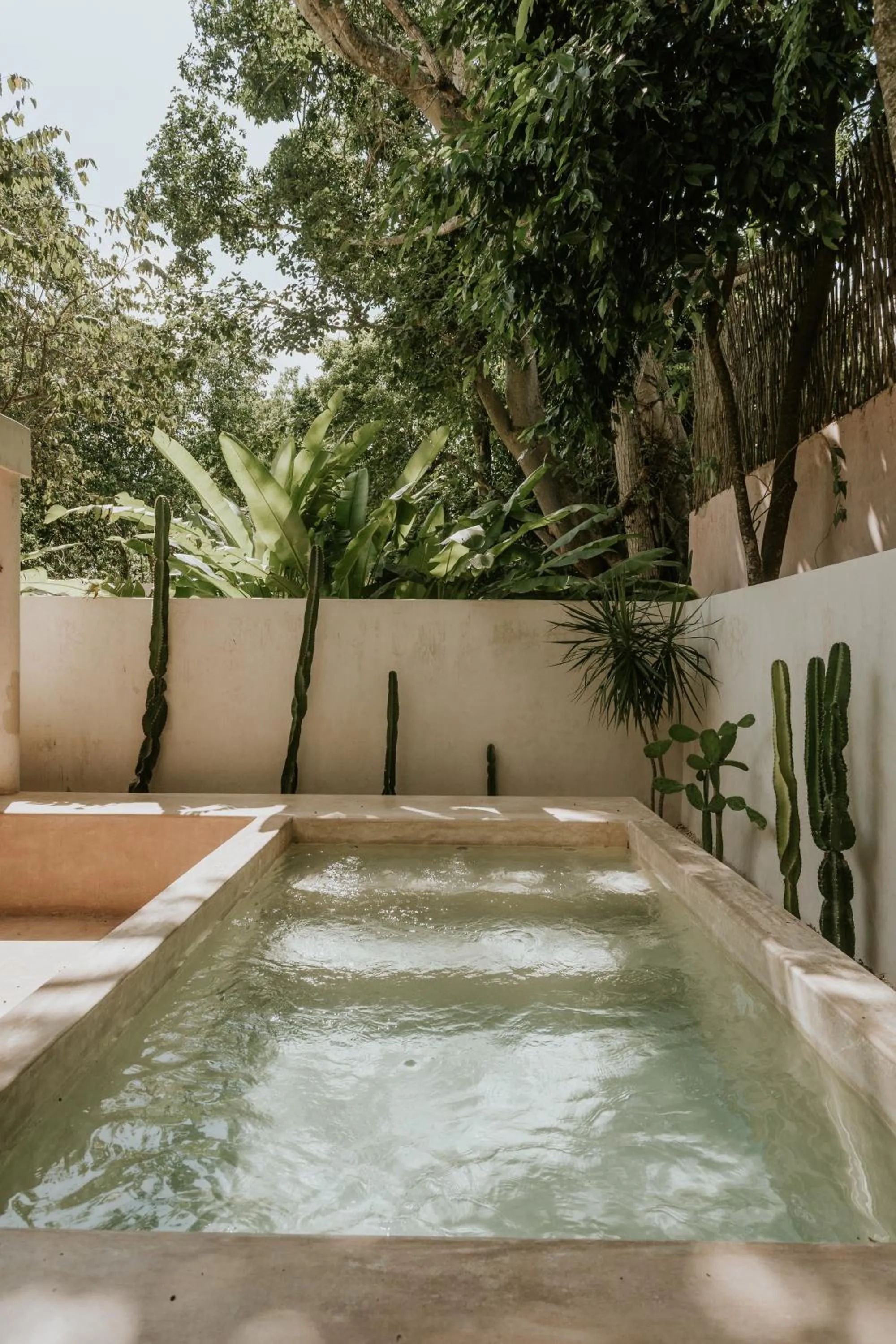 Garden in Casona los Cedros