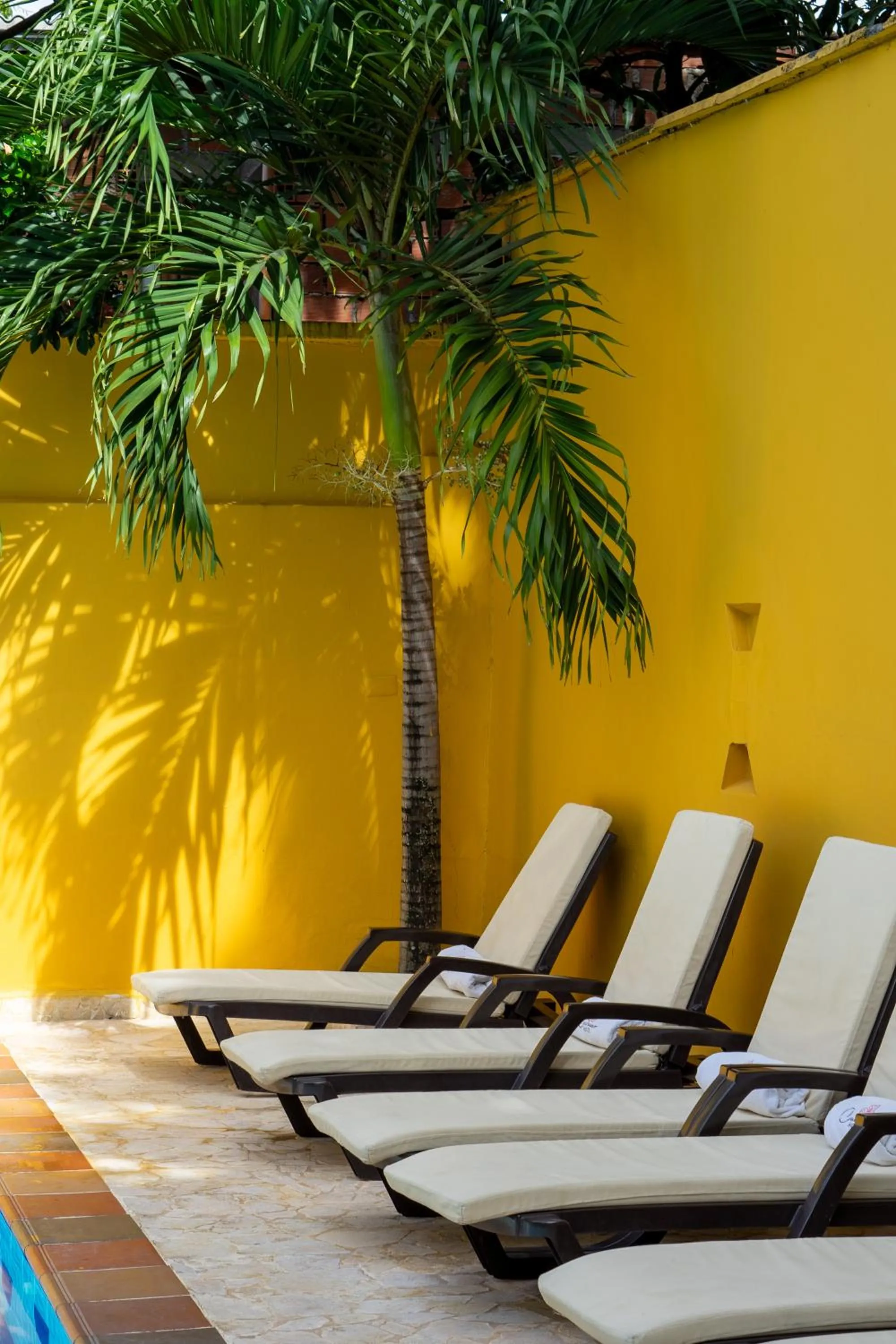 Day in Curazao Hotel -Centro Histórico-