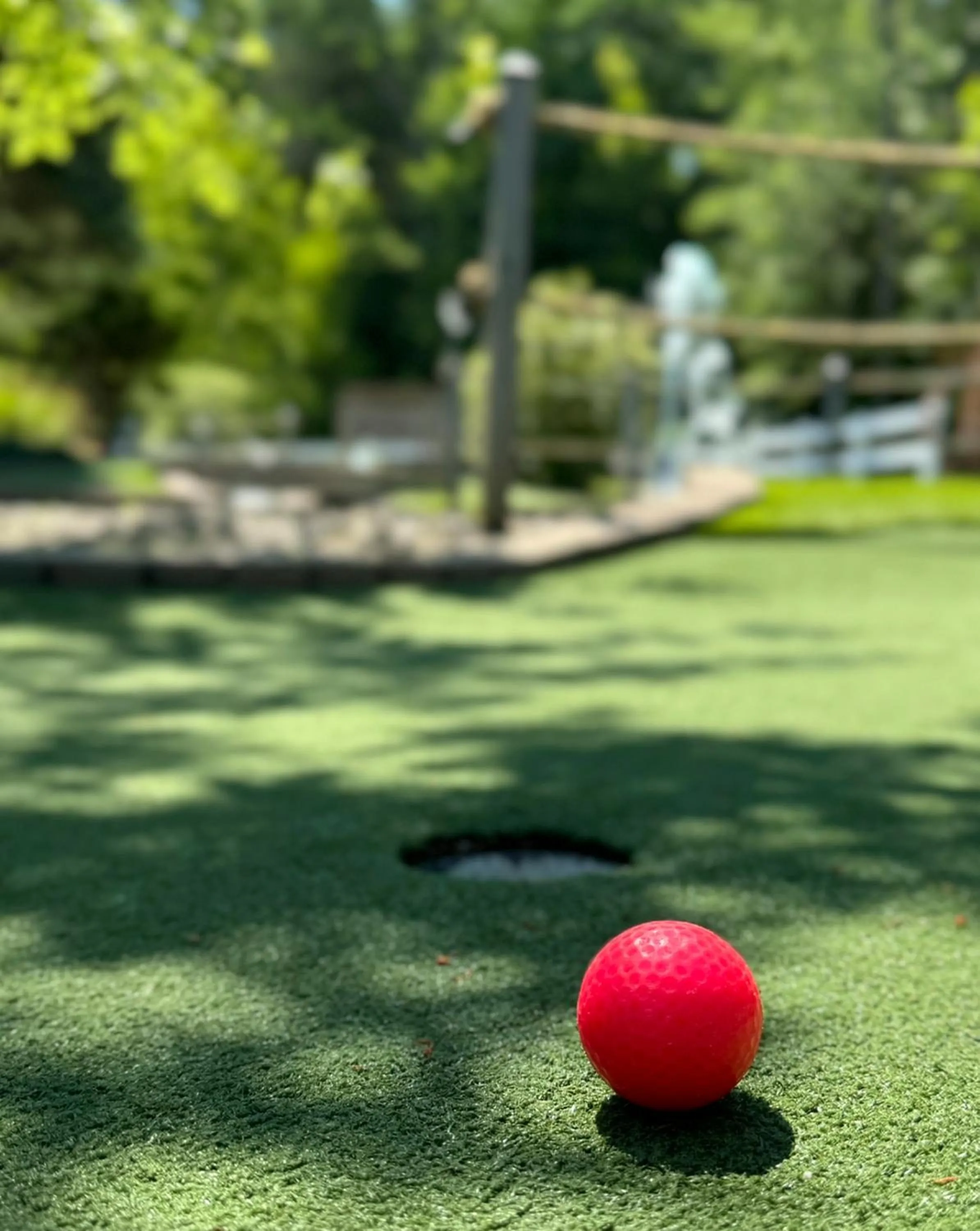 Minigolf in Country Inn at Camden Rockport