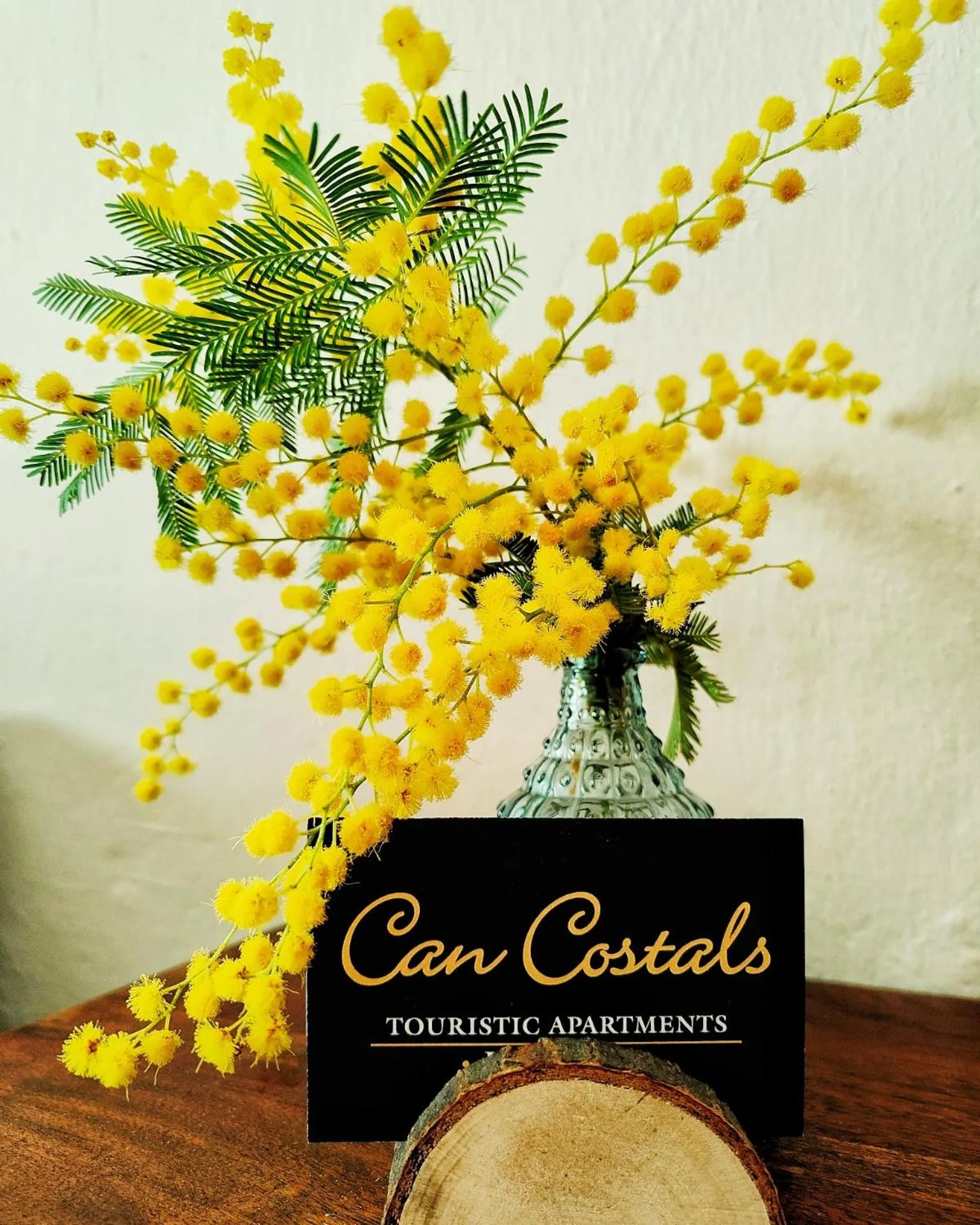 Decorative detail in Can Costals Cerezo