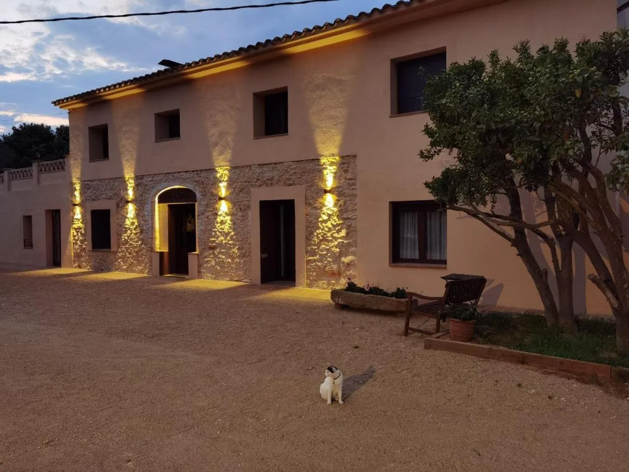 Off site in Can Costals Cerezo