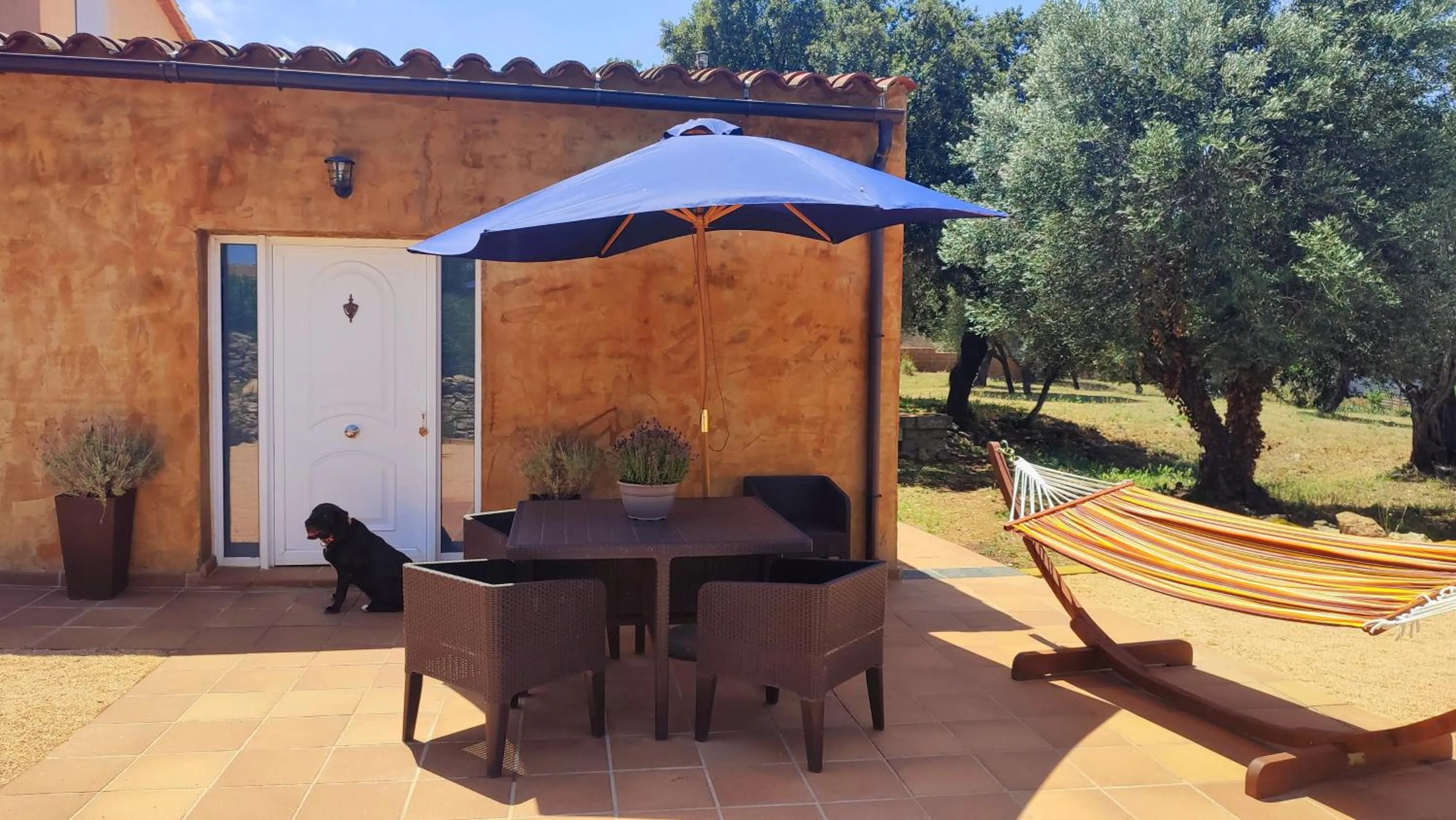 Patio in Can Costals Cerezo