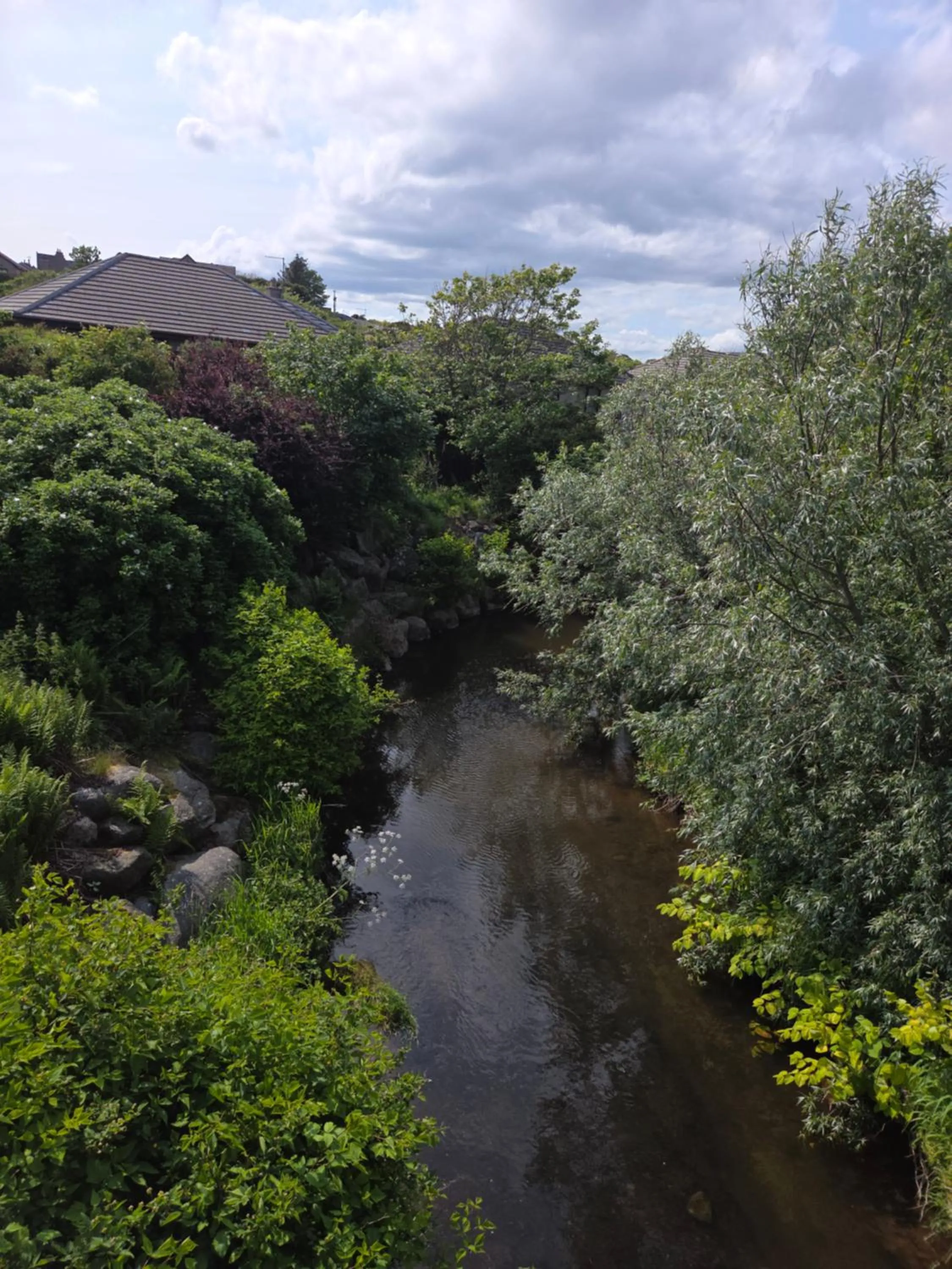 River view in Room on the River