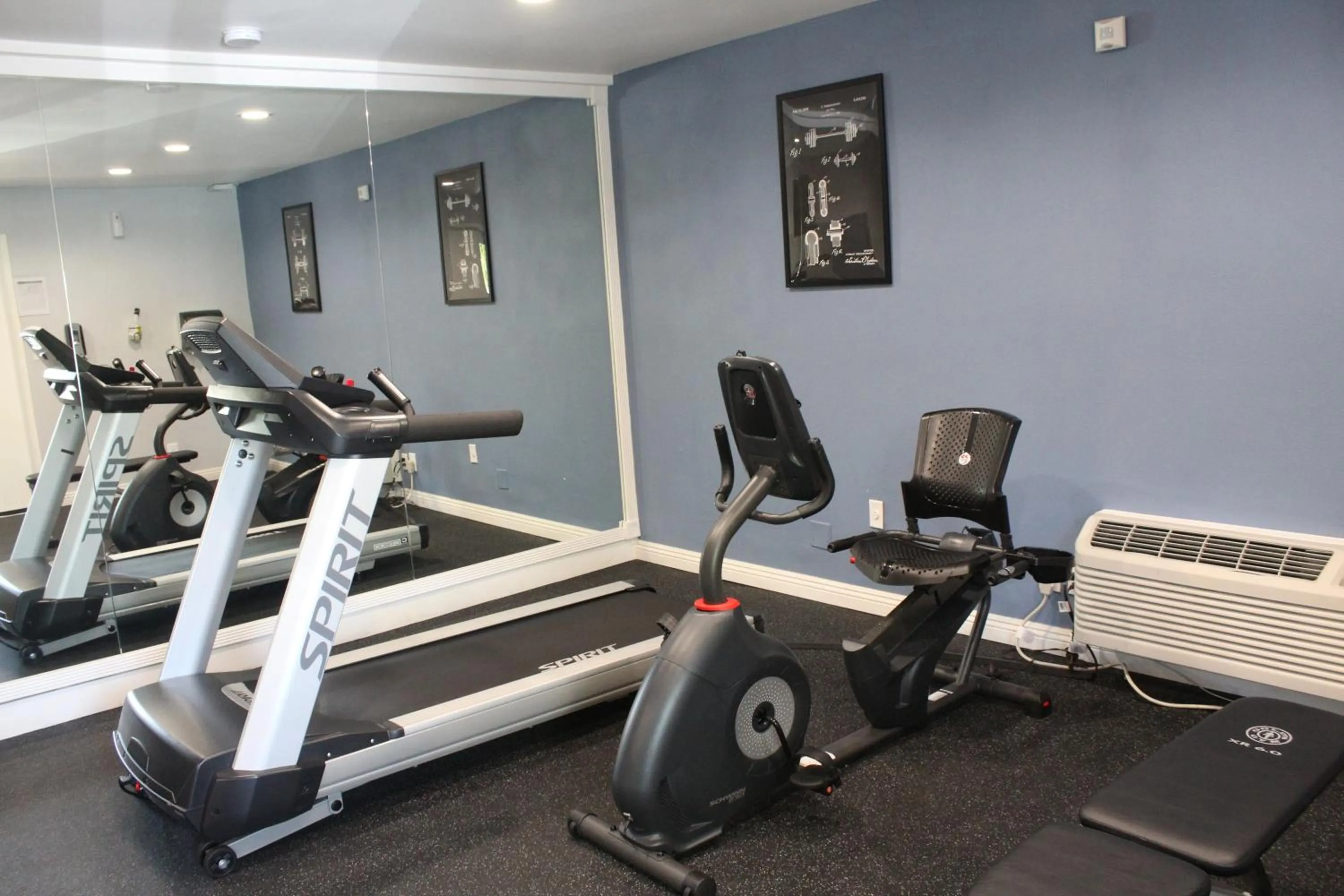 Fitness centre/facilities in Stanford Inn & Suites Anaheim