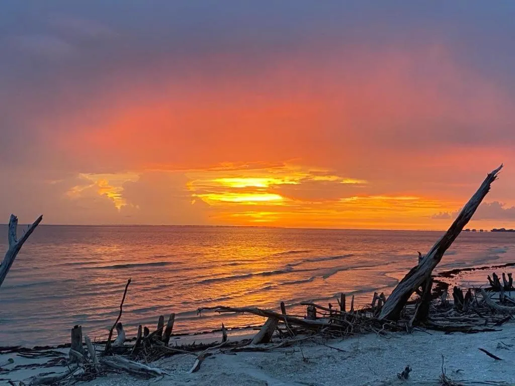 Beach in Welcome To The Paradise