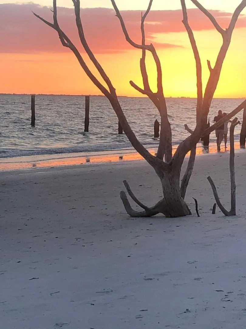 Sunset in Welcome To The Paradise