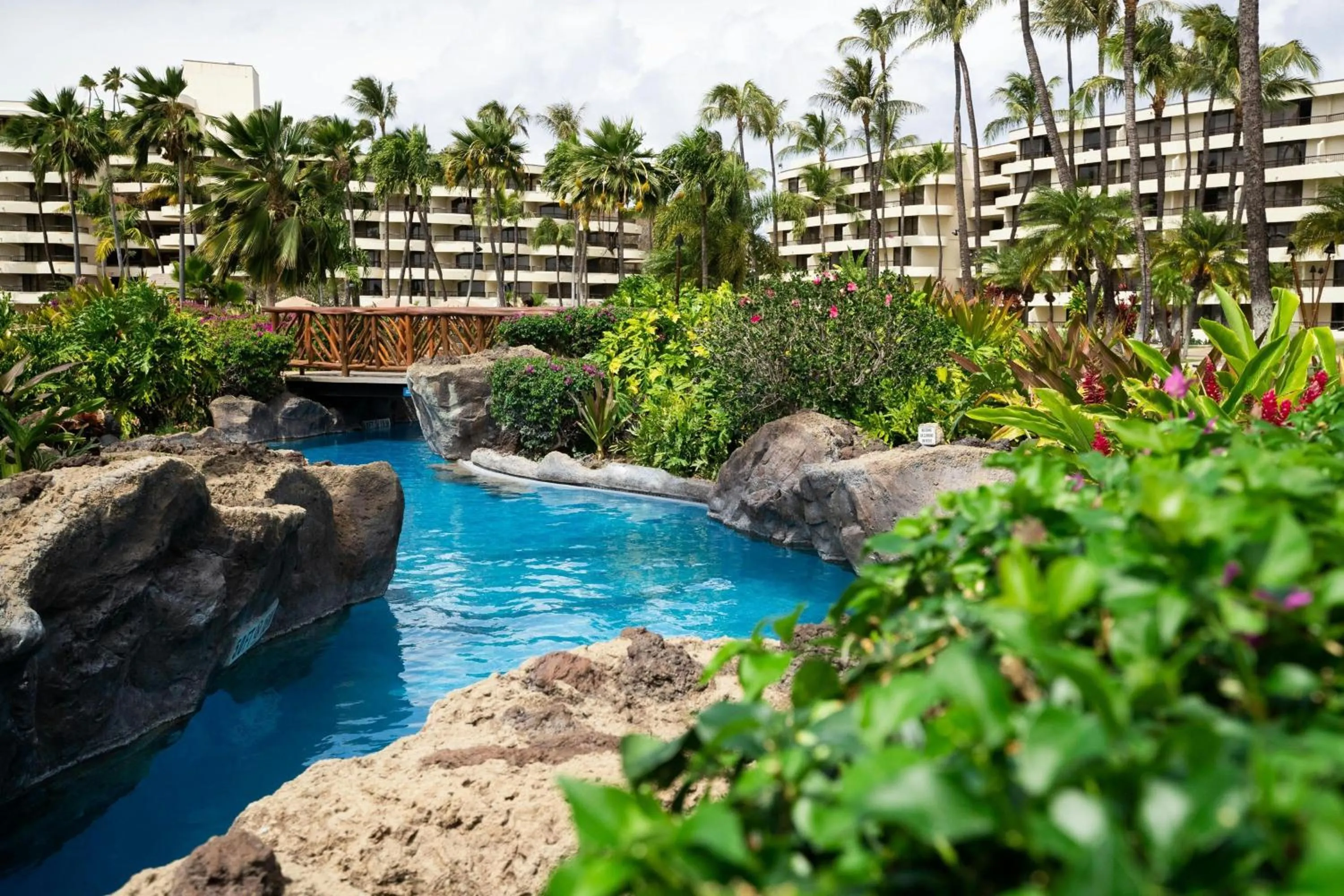 Swimming pool in Sheraton Maui Resort & Spa