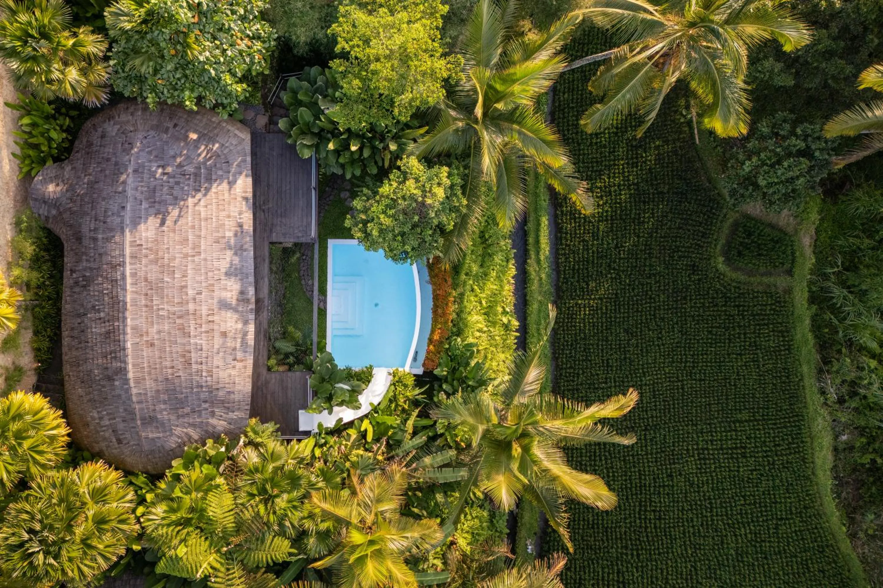 Bird's eye view in Eco Six Bali