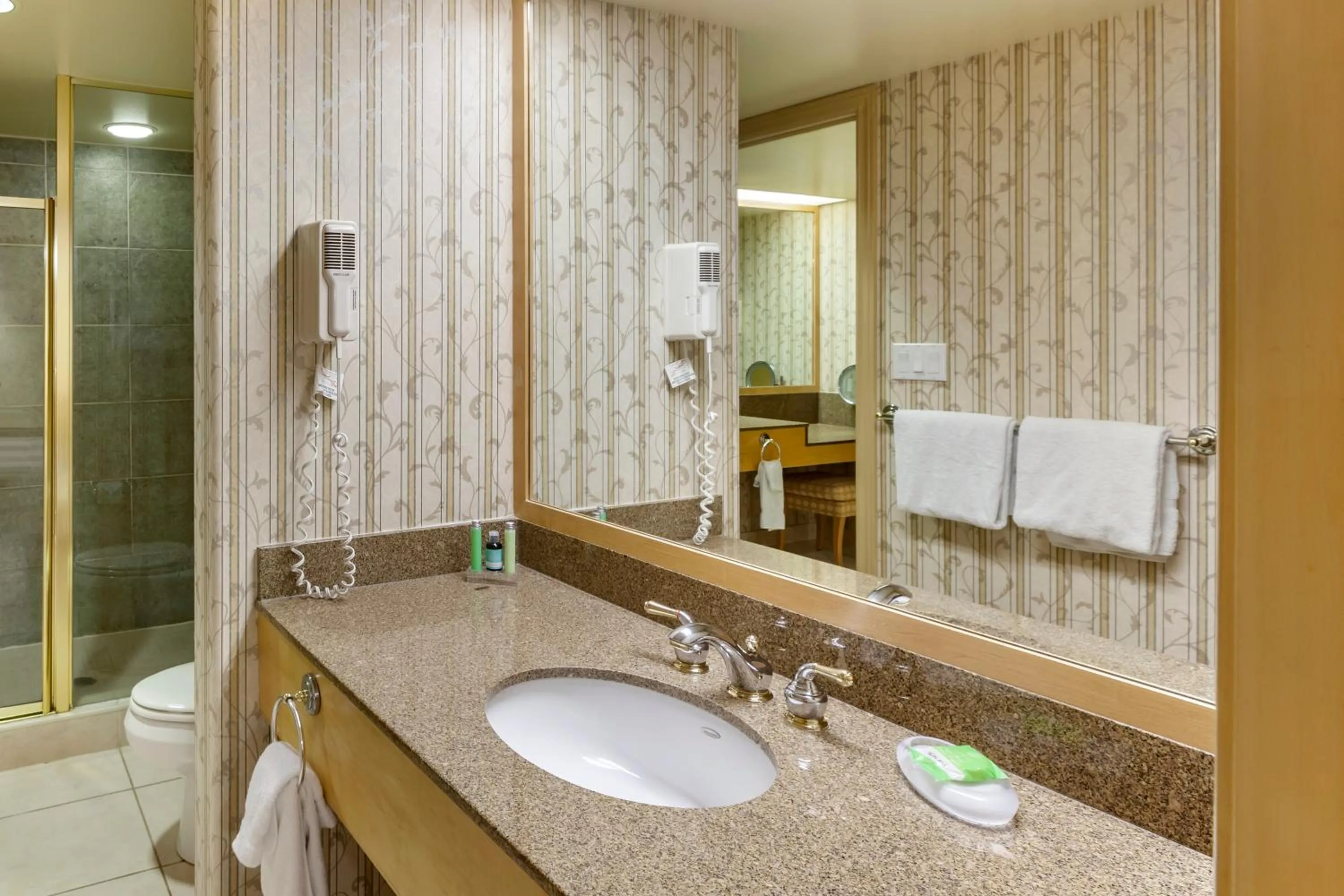 Bathroom in Carriage Hills Resort