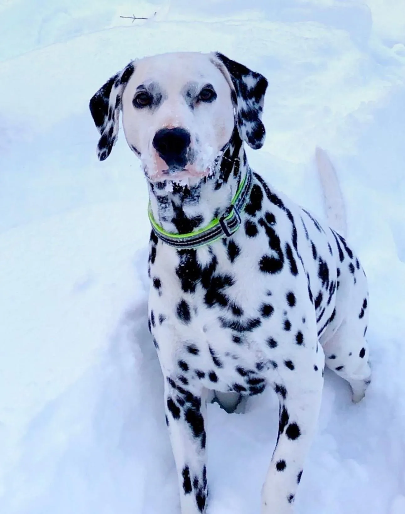 Villa Verde B&B, Greenwood Lake, NY