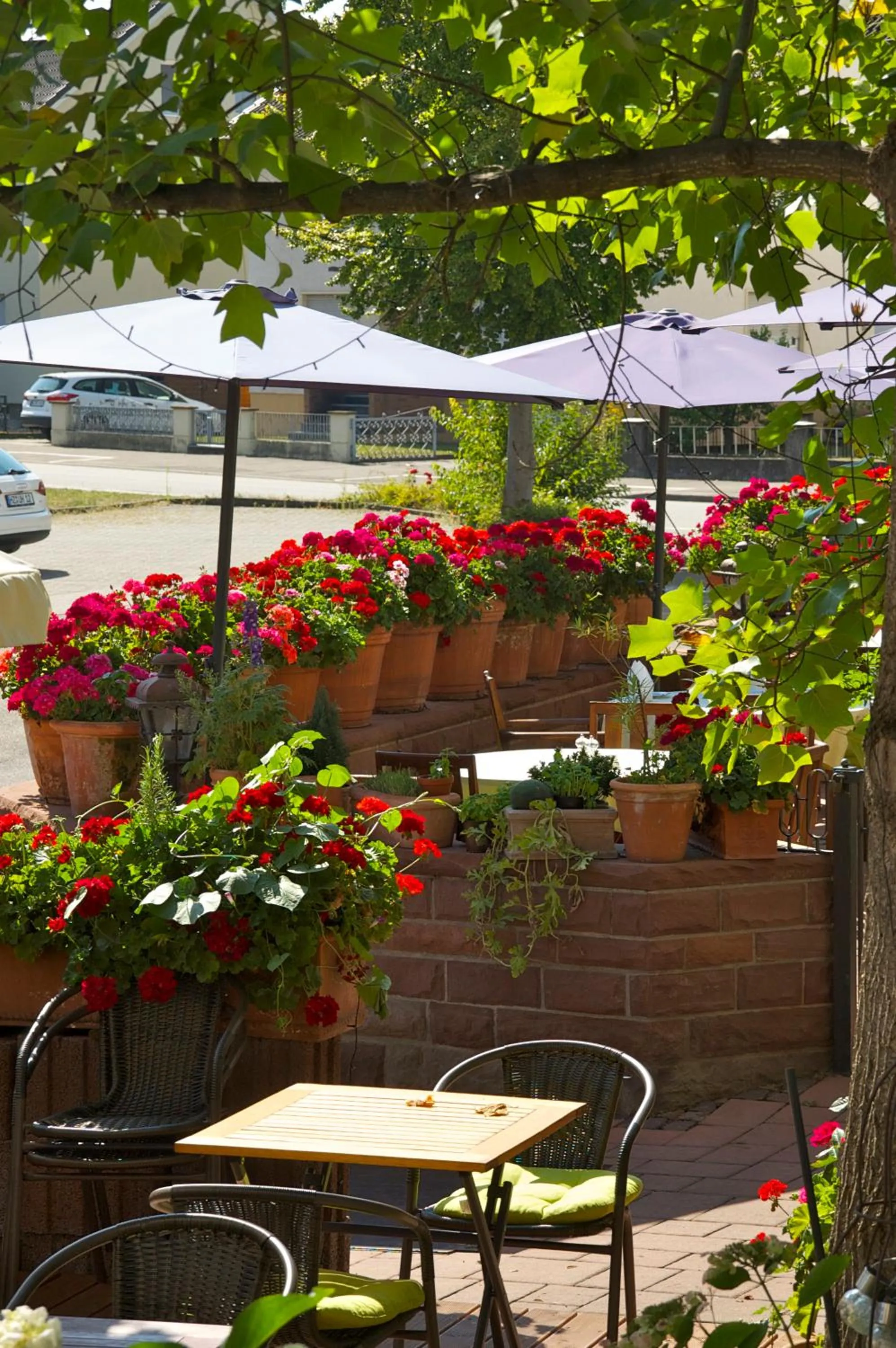 Restaurant/places to eat in Hotel Hirsch