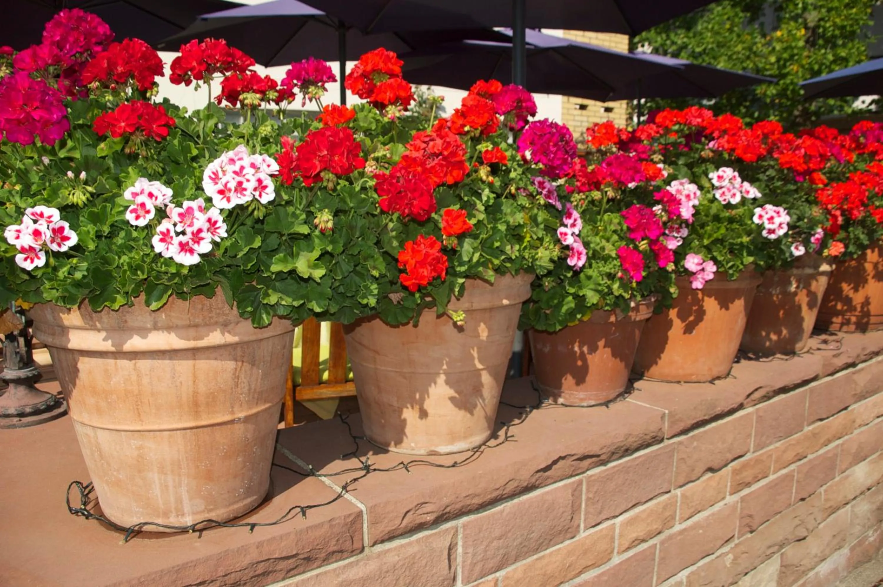 Other in Hotel Hirsch