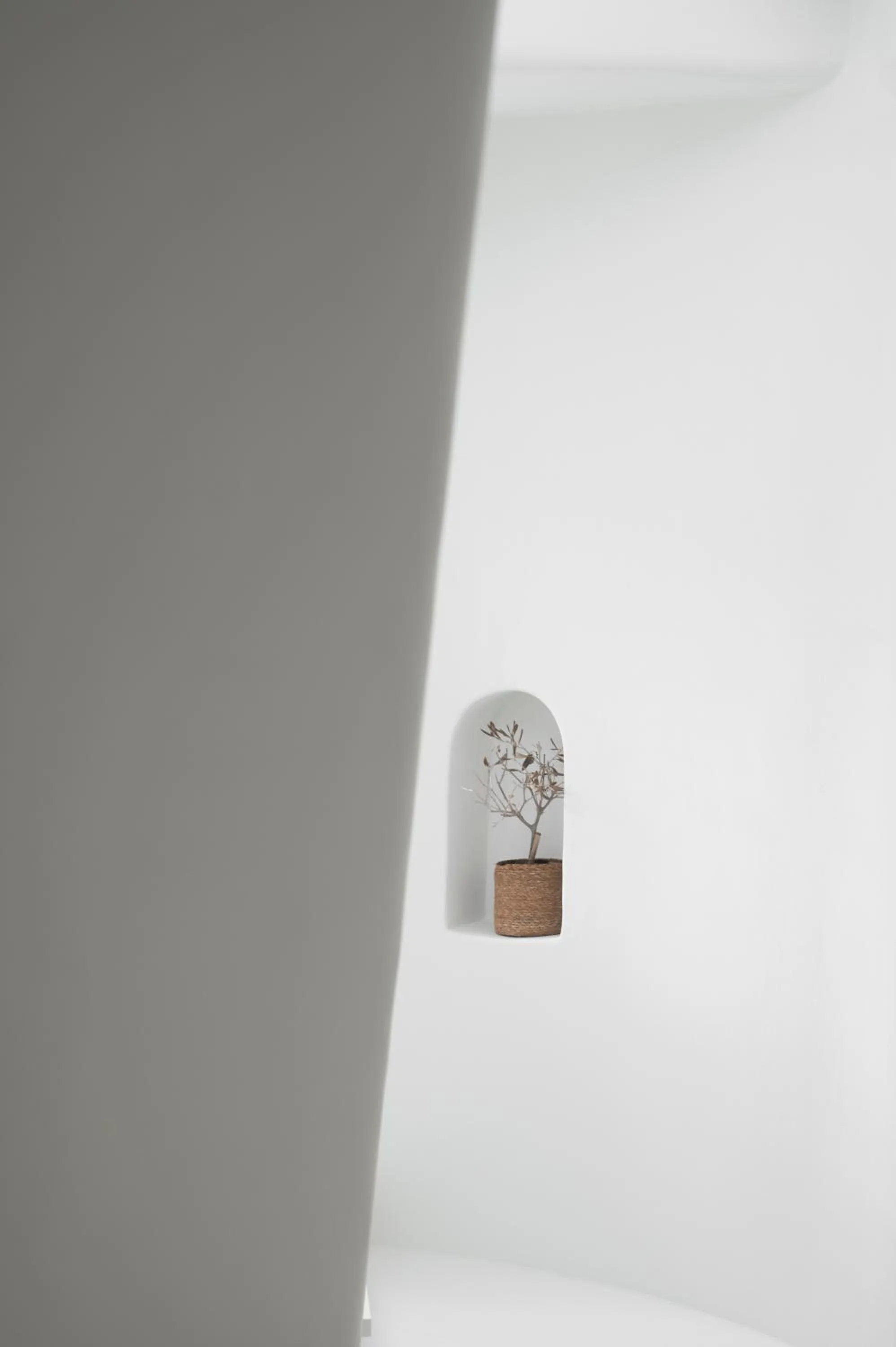 Mod Santorini Vegan Accommodation