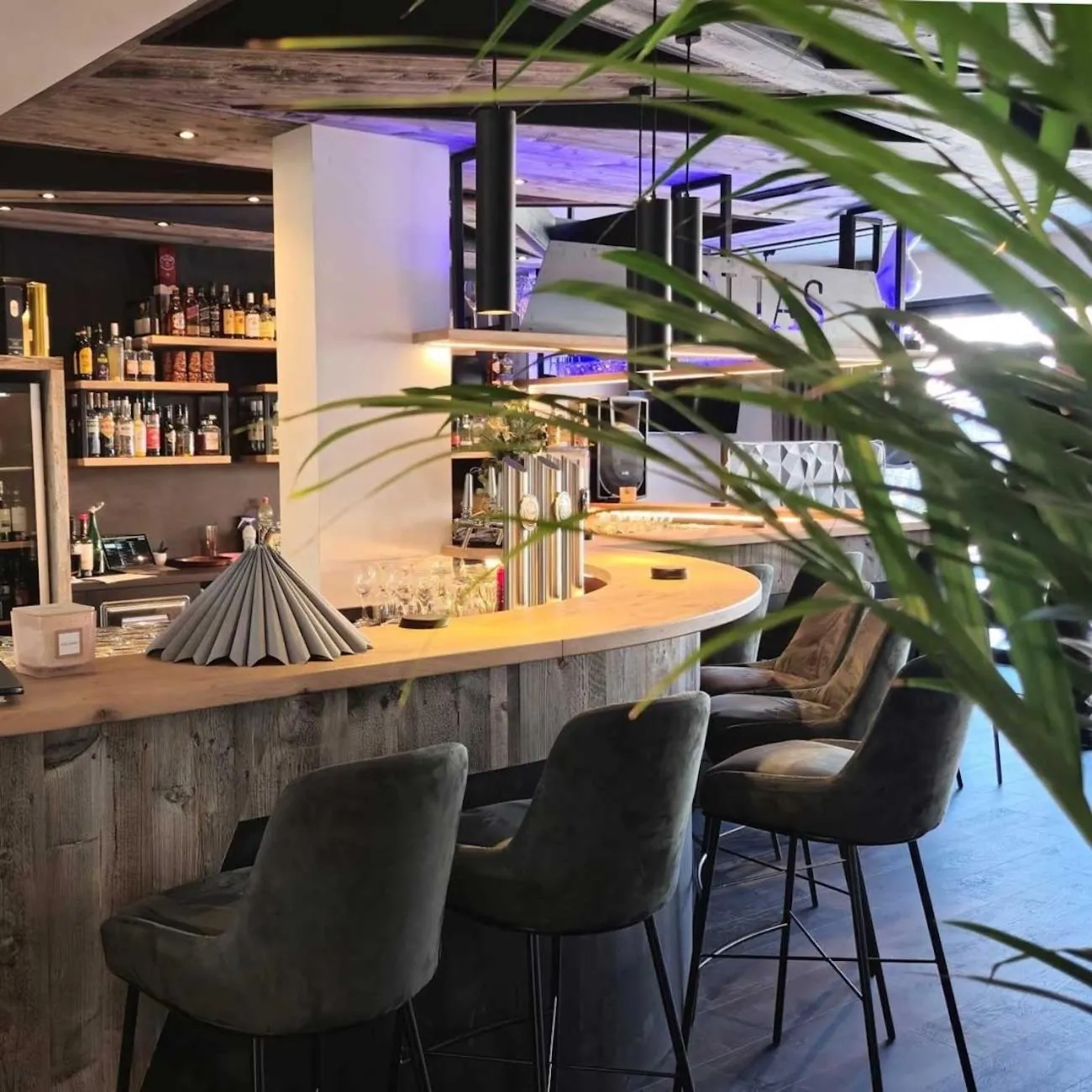 Lounge or bar in Wander- und Familienhotel Erika